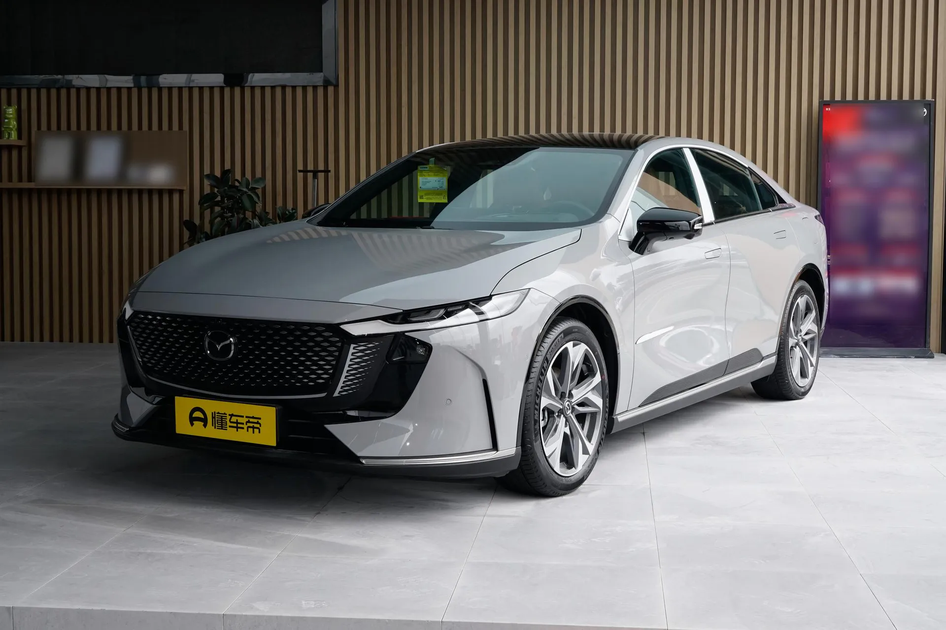  EZ-6 Range Extender 200 Max