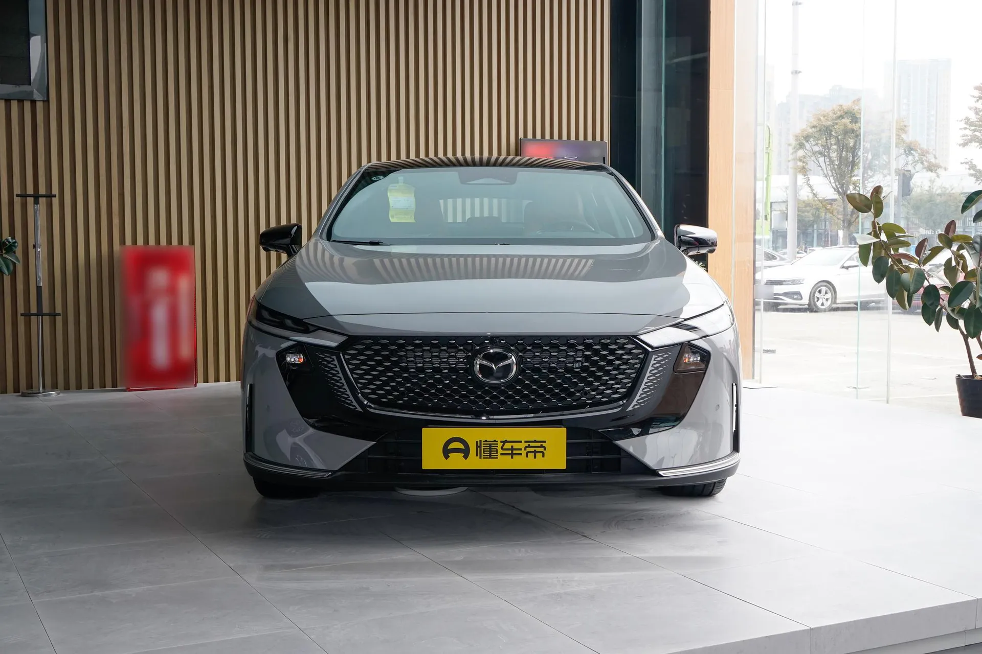  EZ-6 Range Extender 200 Max