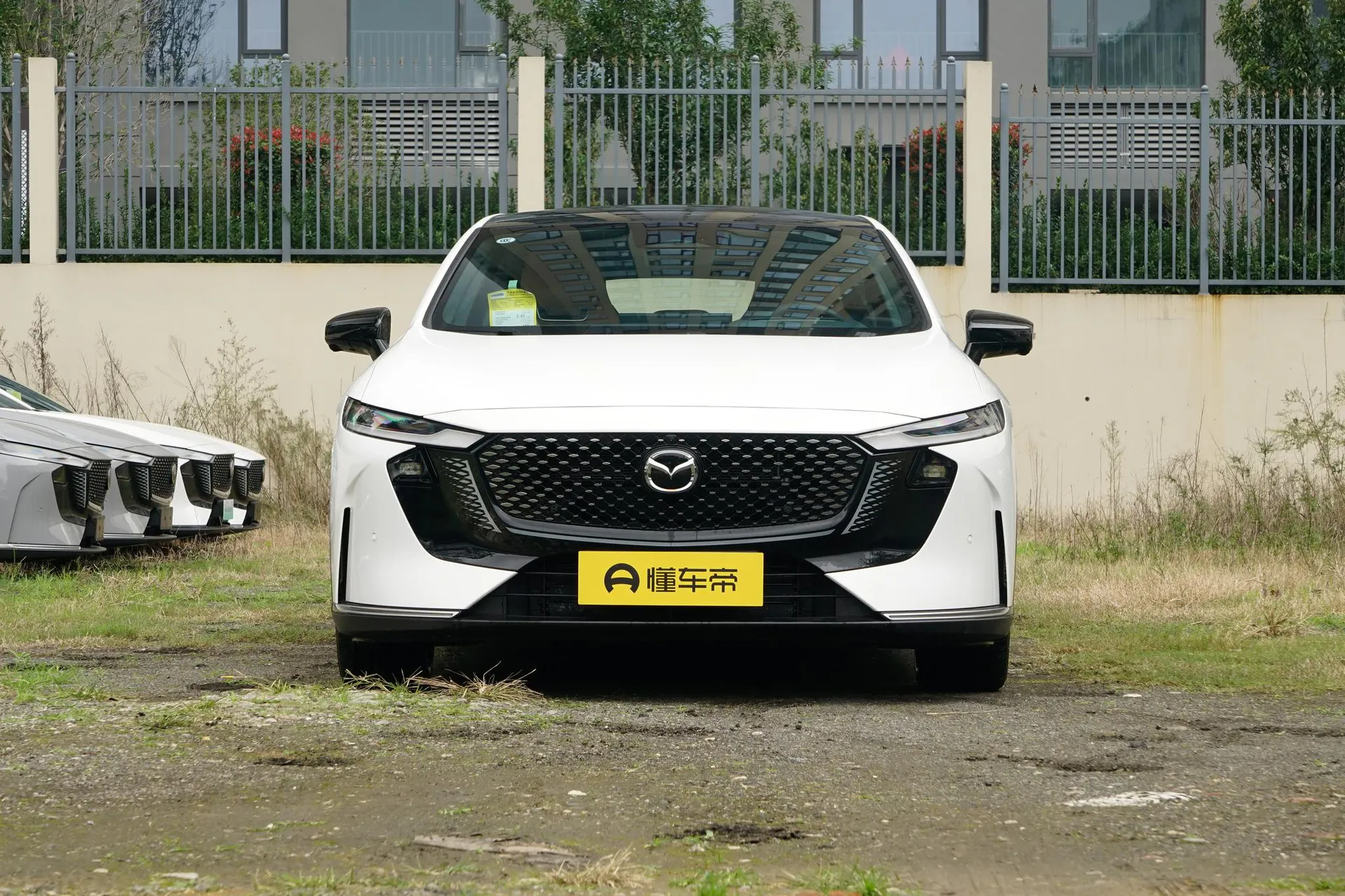  EZ-6 Range Extender 200 Max