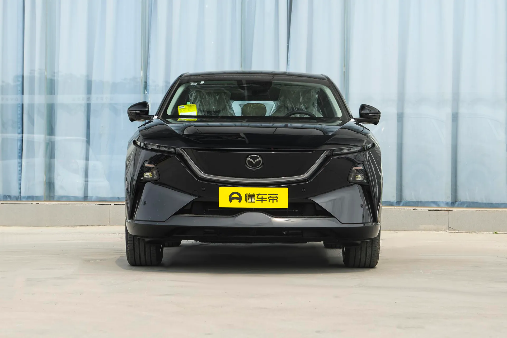 EZ-60 Range Extender 200 Horse