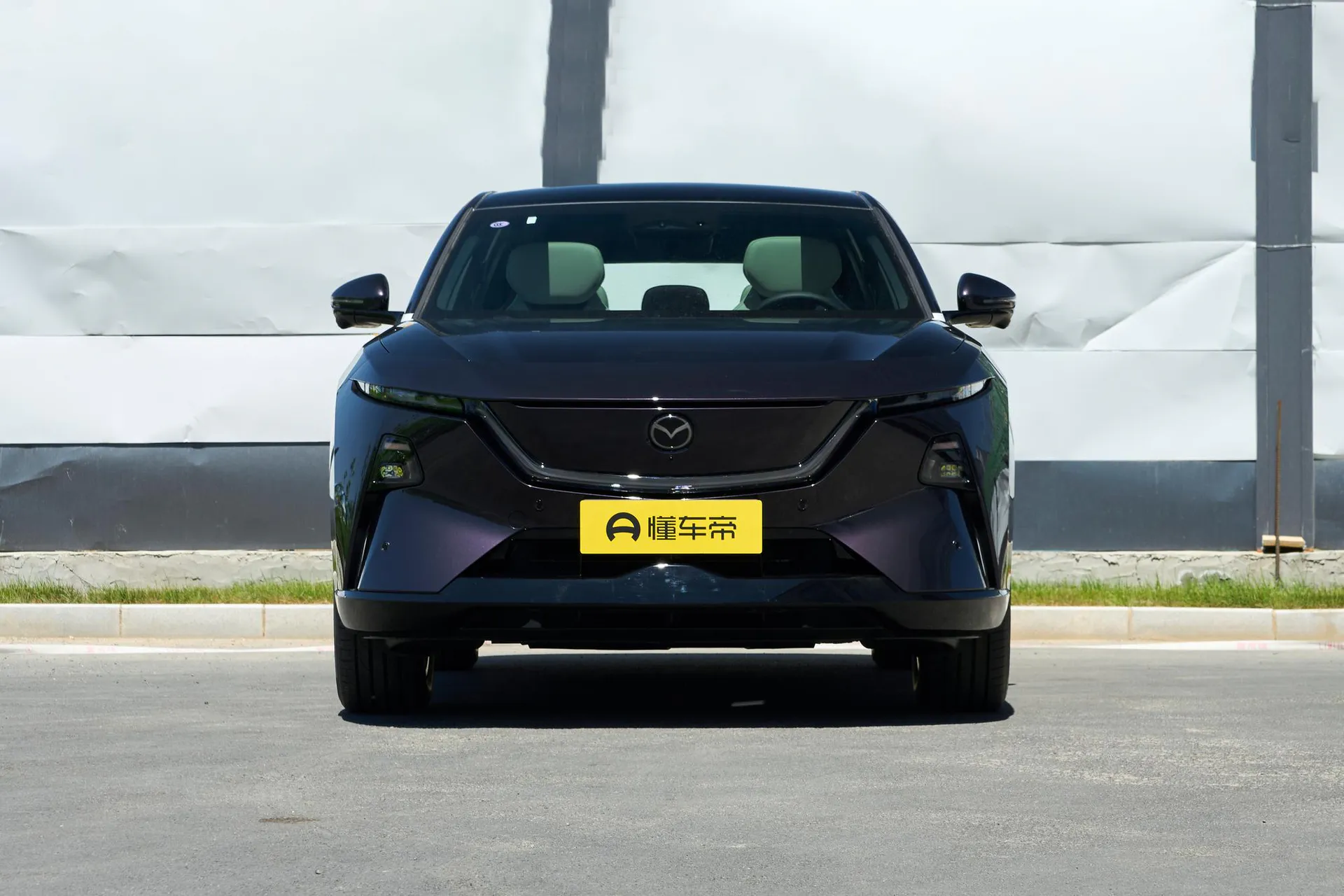  EZ-60 Range Extender 200 Horse