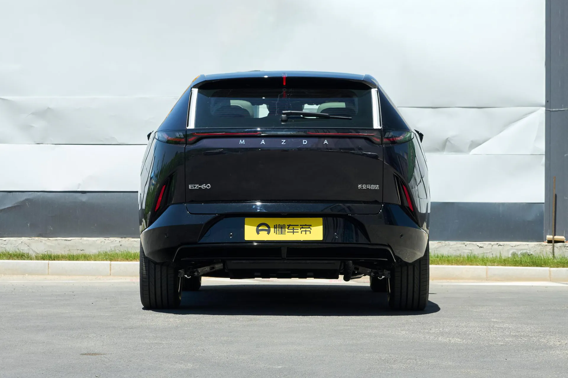  EZ-60 Range Extender 200 Horse