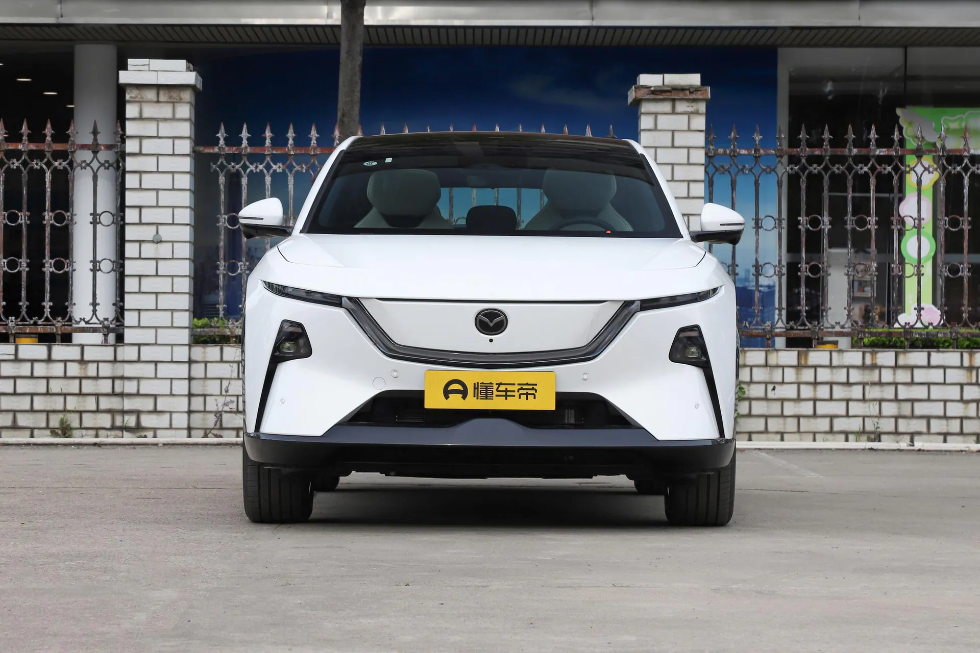  EZ-60 Range Extender 200 Horse