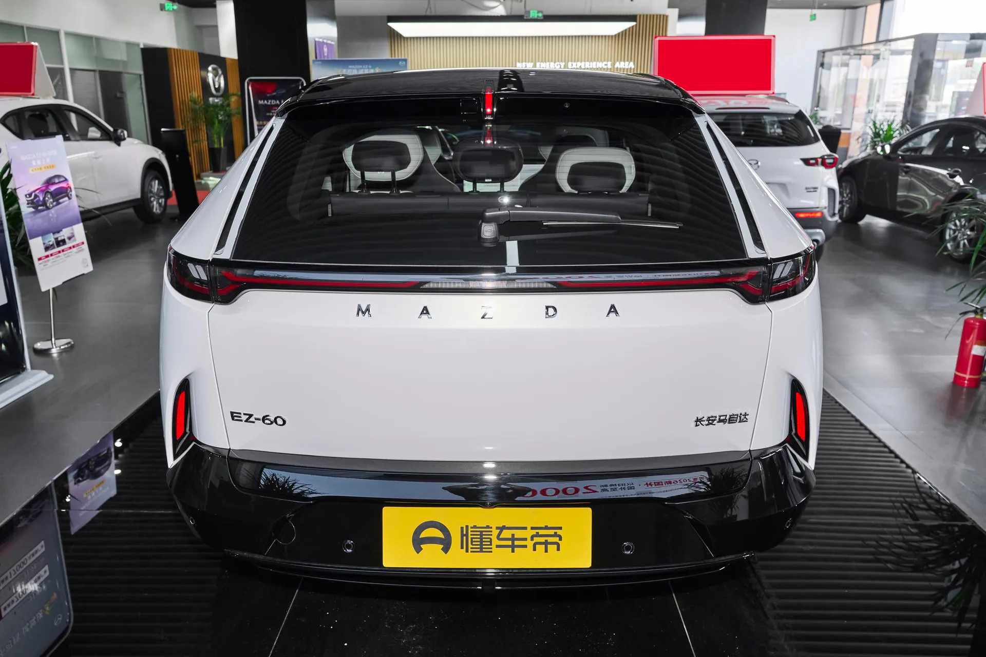  EZ-60 Range Extender 200 Horse