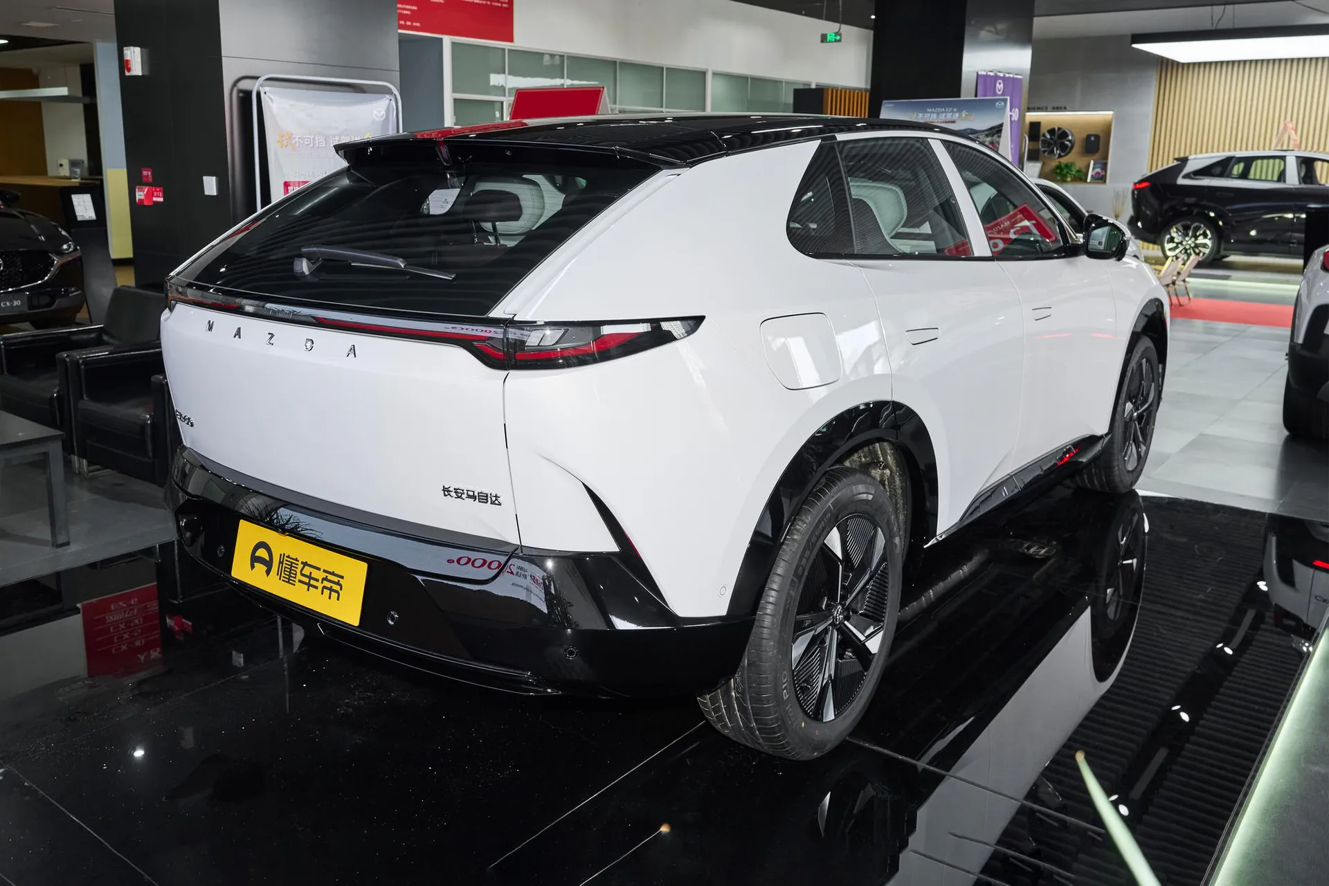  EZ-60 Range Extender 200 Horse