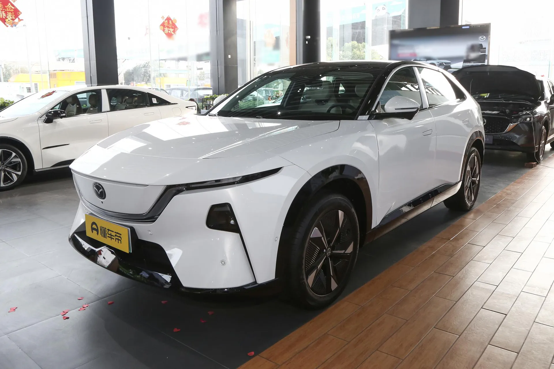  EZ-60 Range Extender 200 Pro