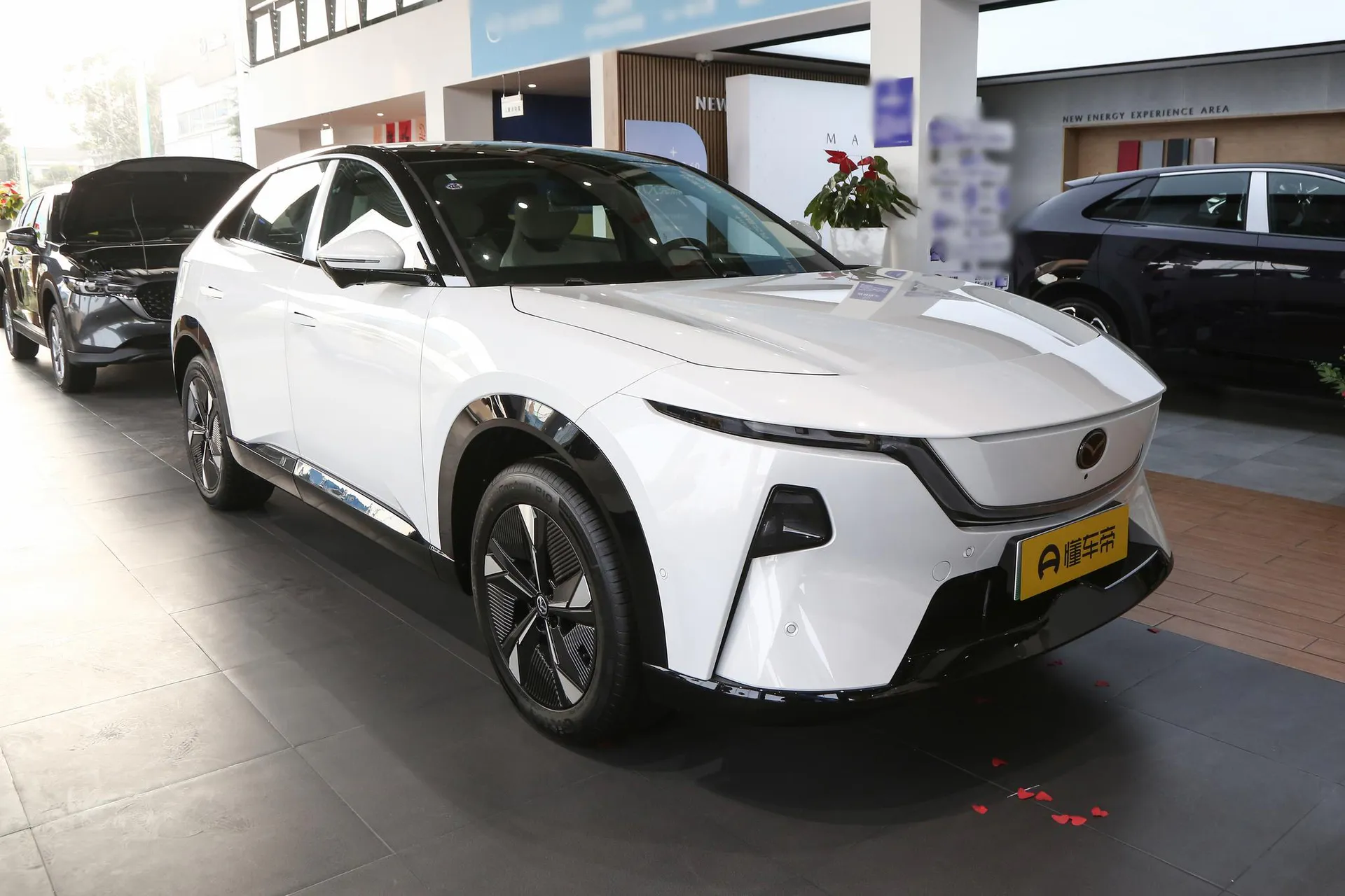  EZ-60 Range Extender 200 Pro