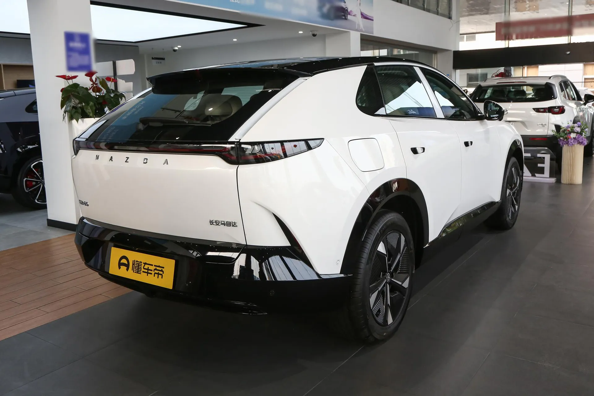  EZ-60 Range Extender 200 Pro