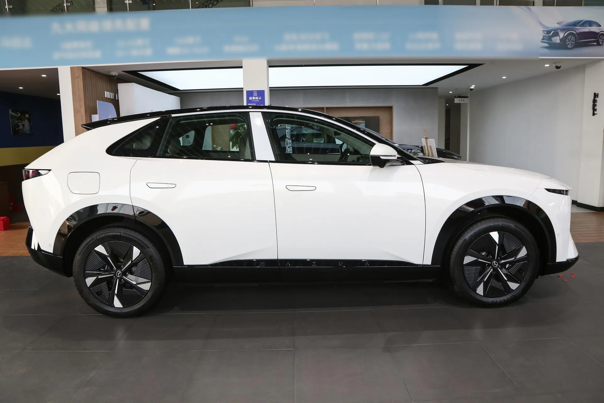  EZ-60 Range Extender 200 Pro