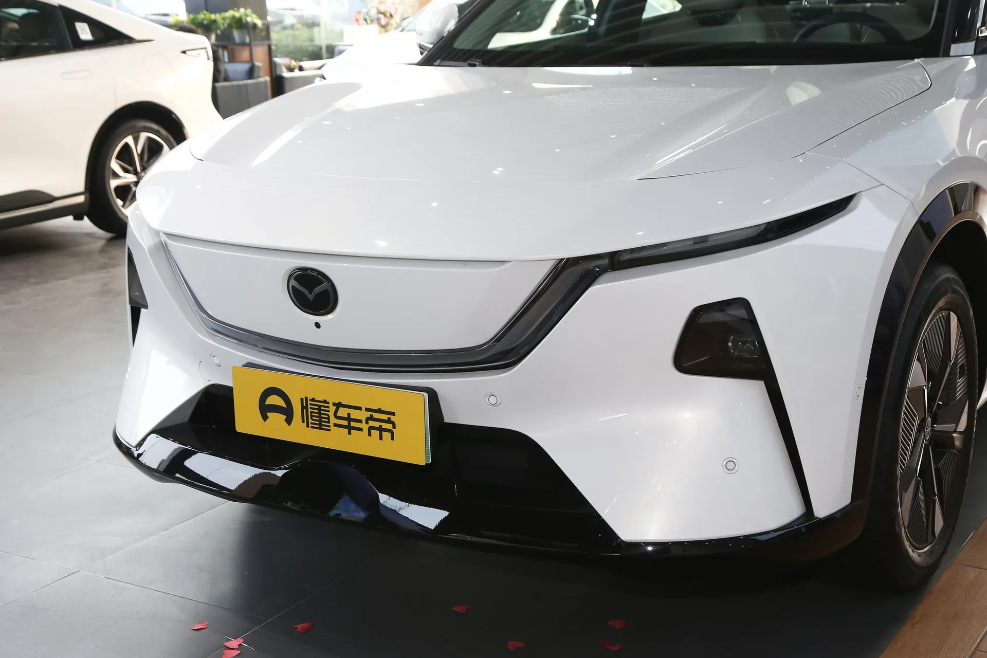  EZ-60 Range Extender 200 Pro