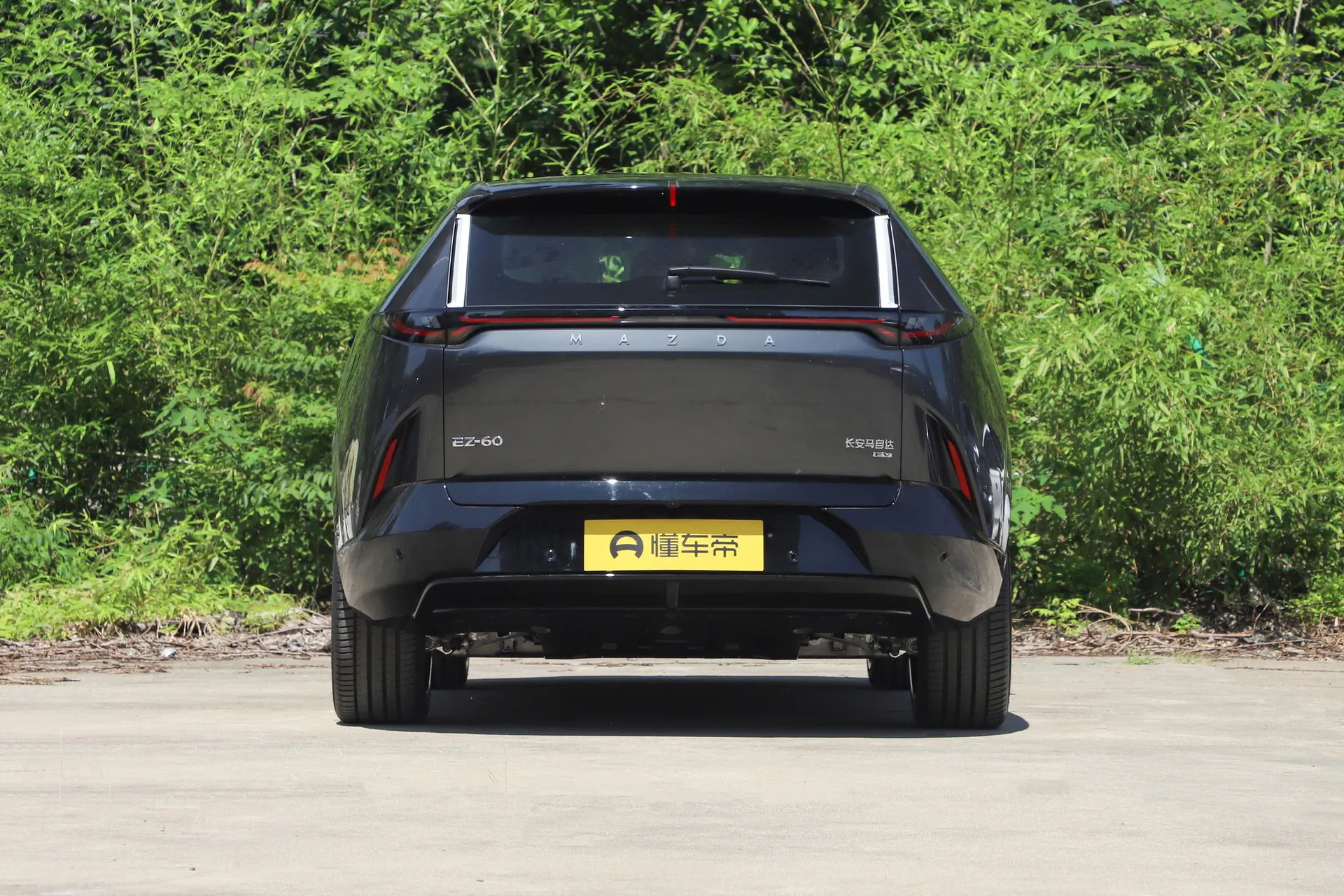  EZ-60 Pure EV Max Sport