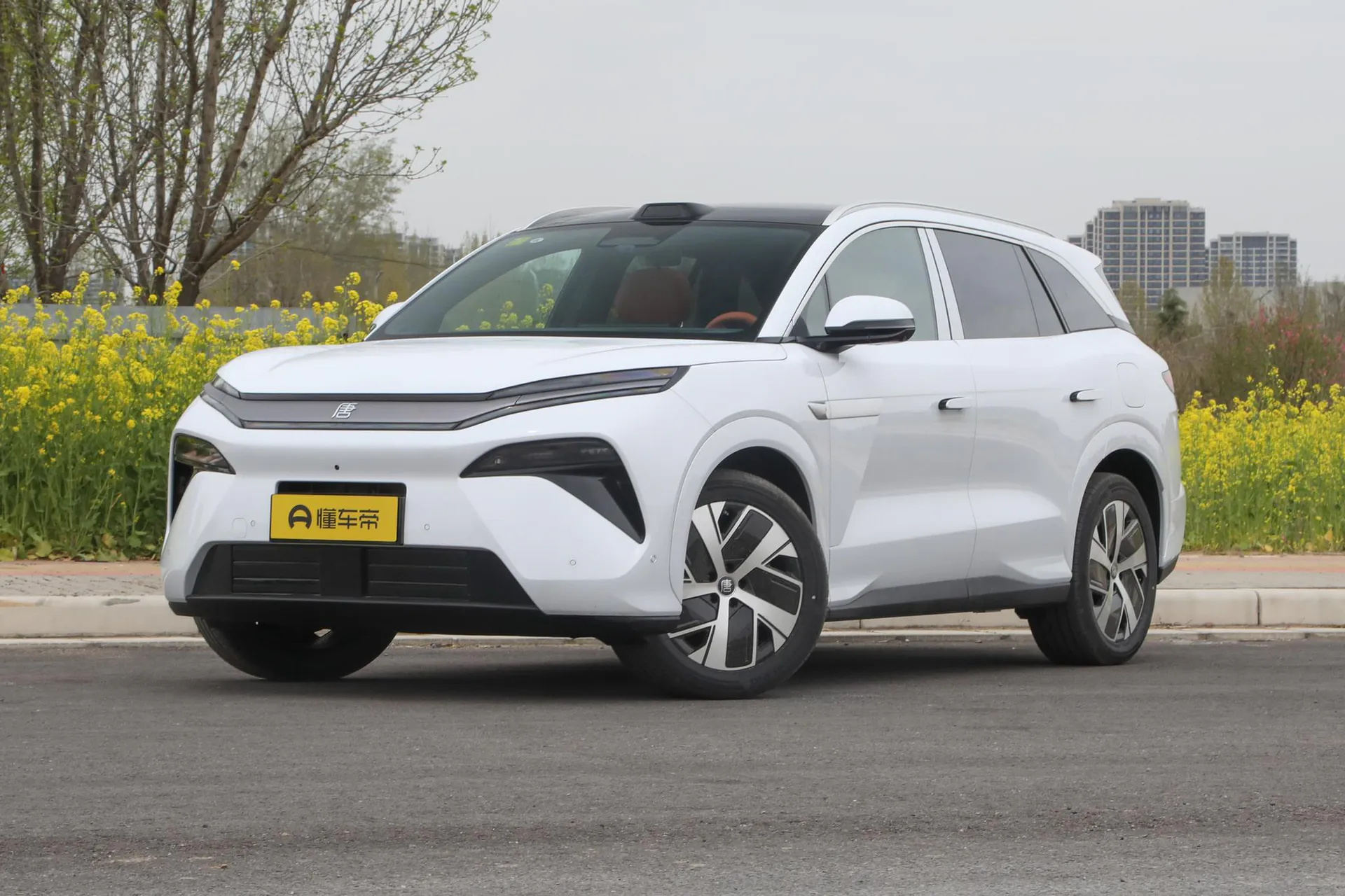  Tang L DM-p 200 KM AWD LiDAR Flagship