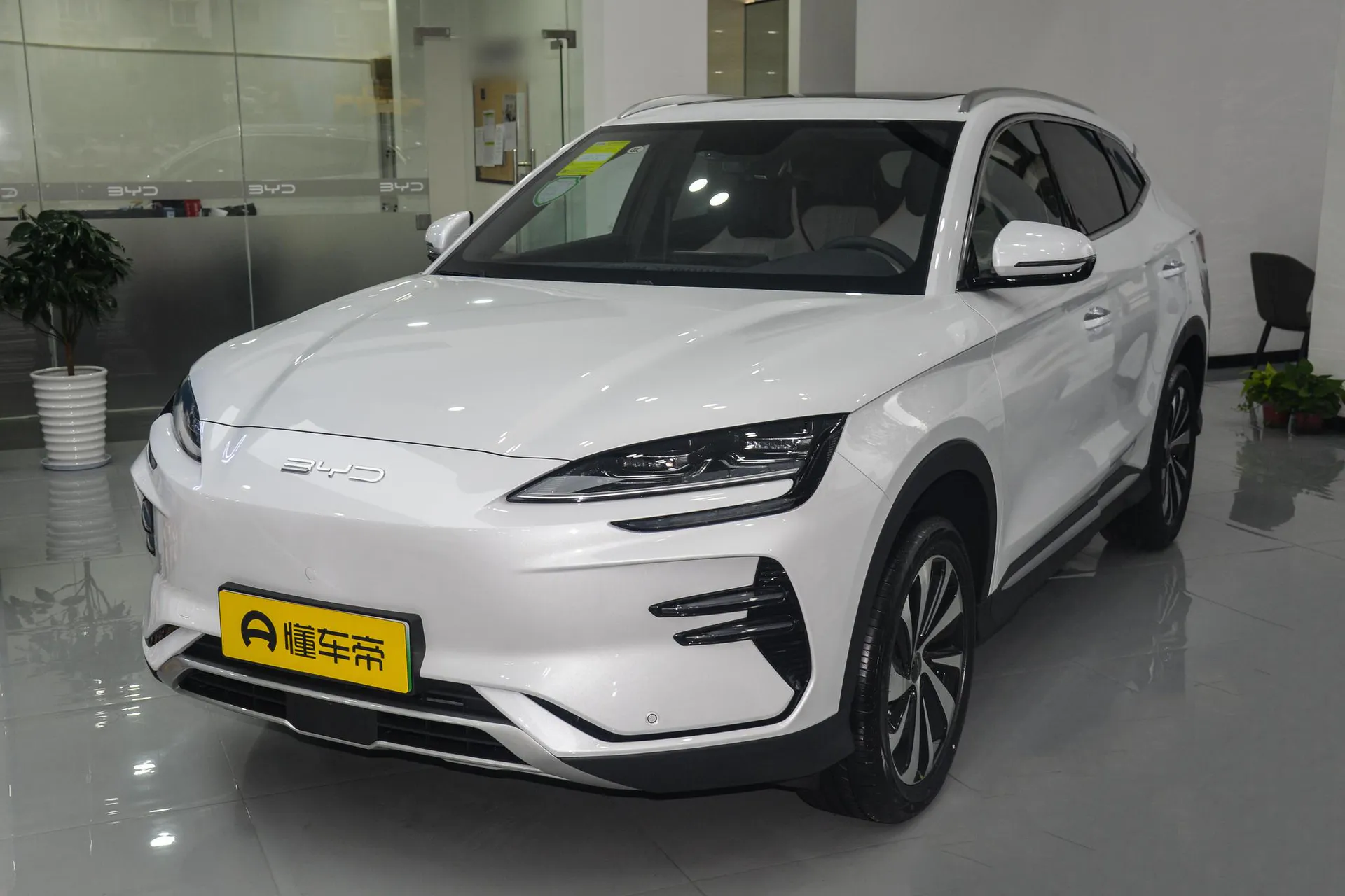  Song Plus EV Champion 520 KM Luxury