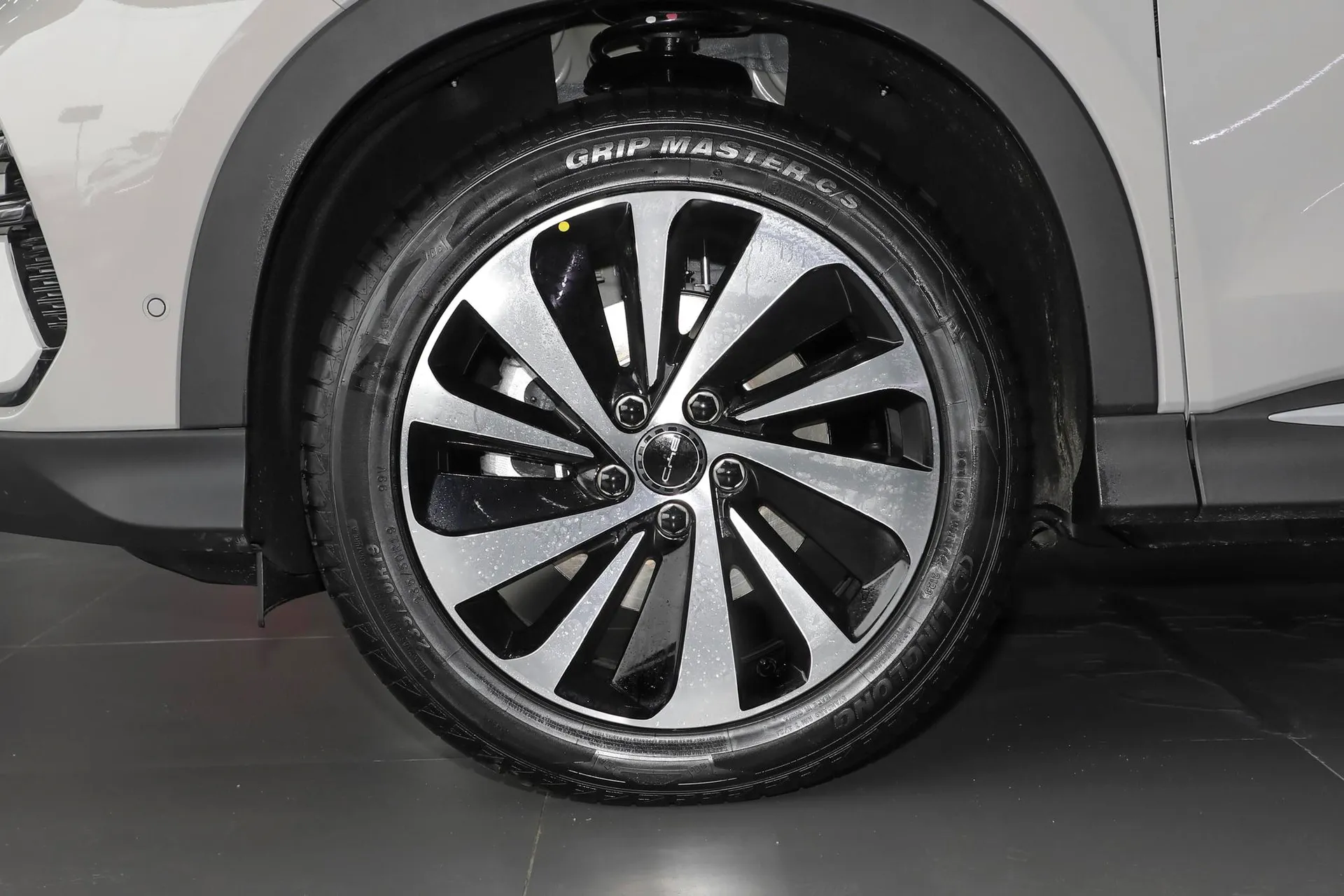  Song Plus EV Champion 605 KM Flagship PLUS
