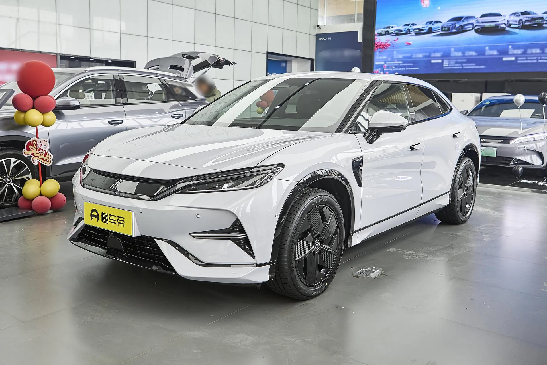  Song L Smart Driving 550 KM Excellence
