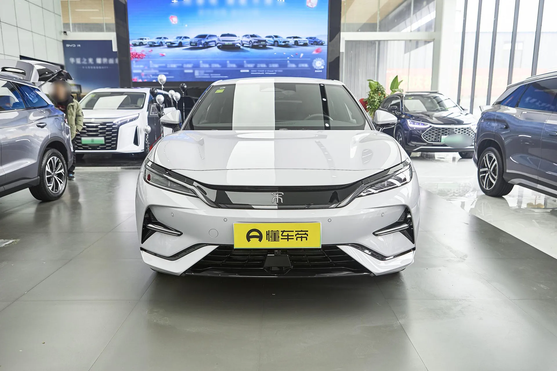  Song L Smart Driving 550 KM Excellence