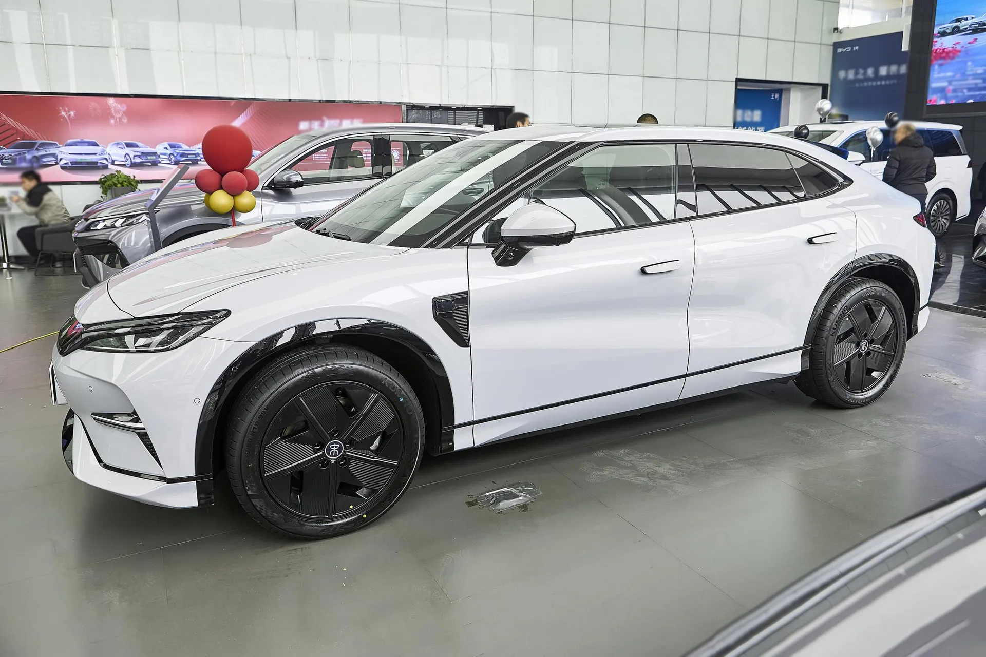  Song L Smart Driving 550 KM Excellence