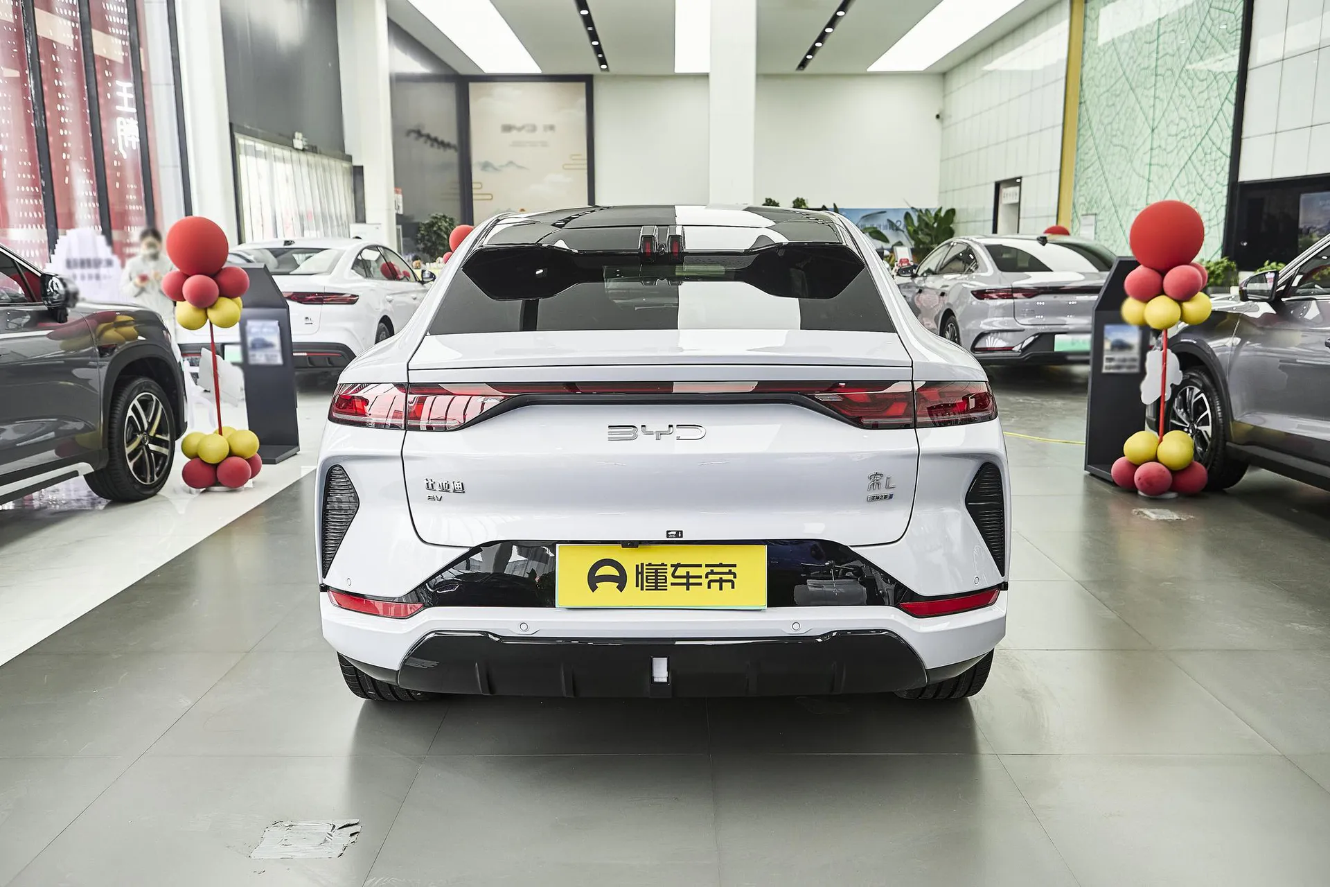  Song L Smart Driving 550 KM Excellence