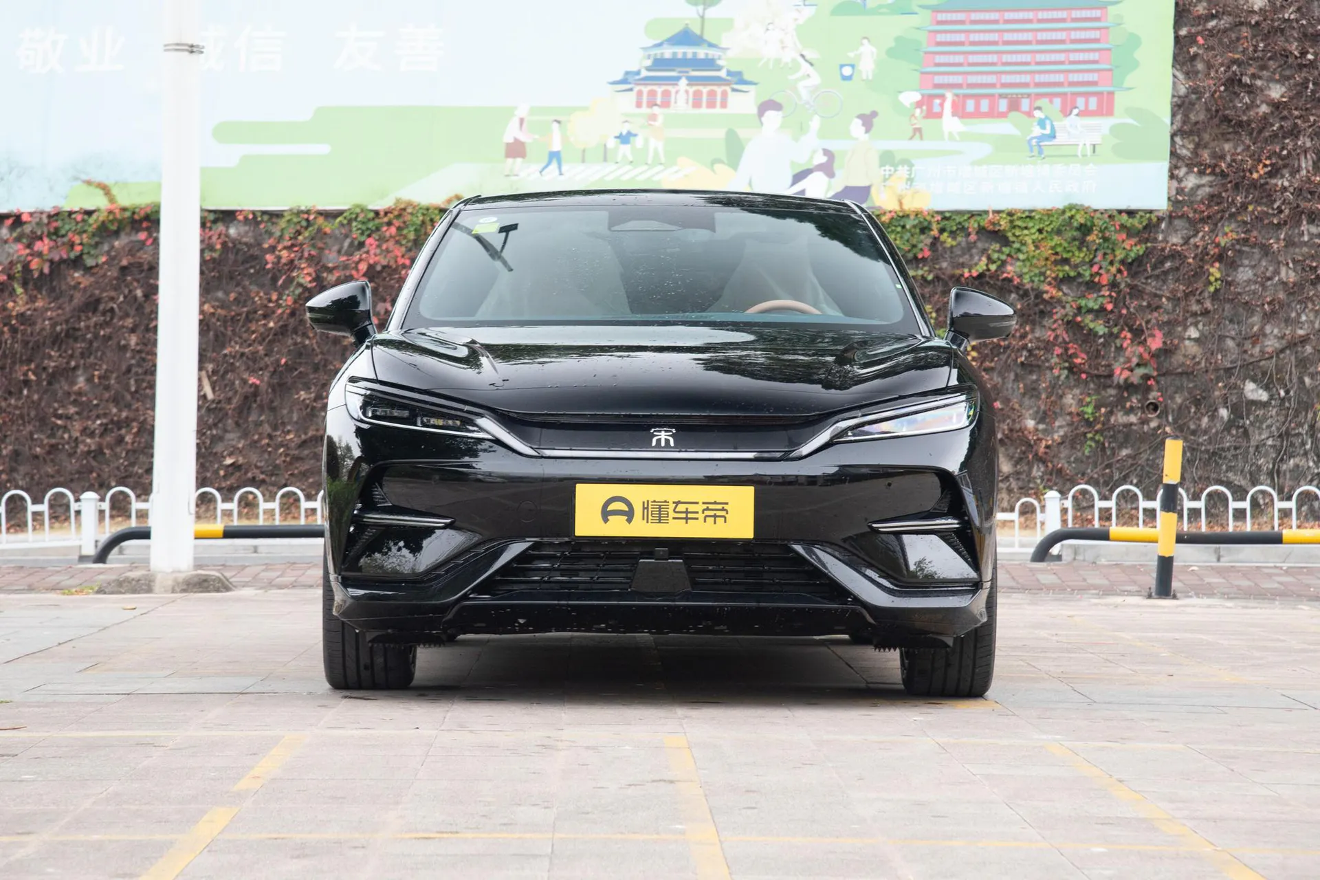  Song L Smart Driving 662 KM Beyond