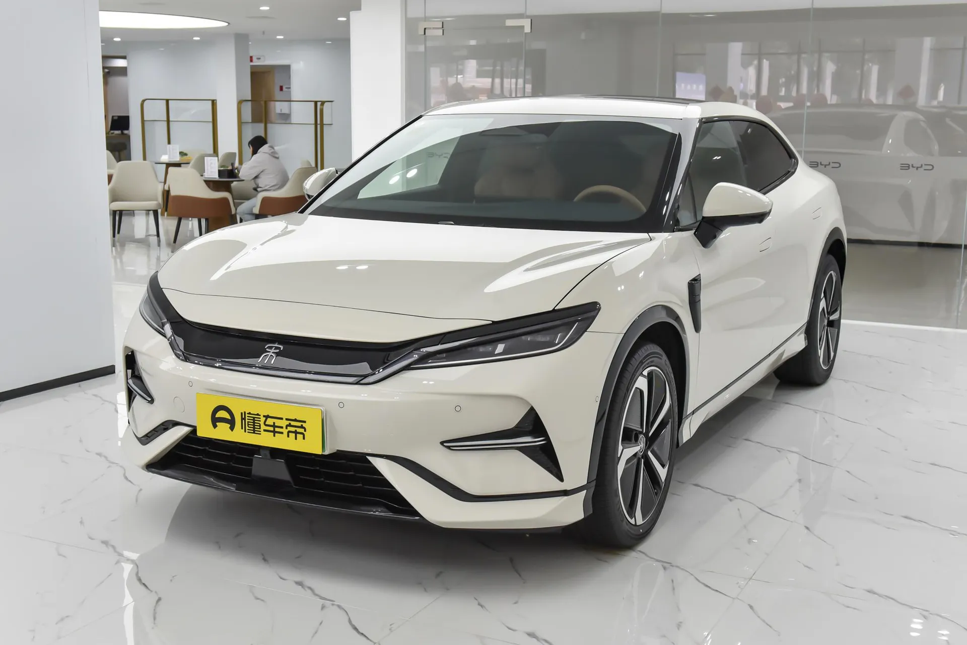  Song L Smart Driving 662 KM Beyond