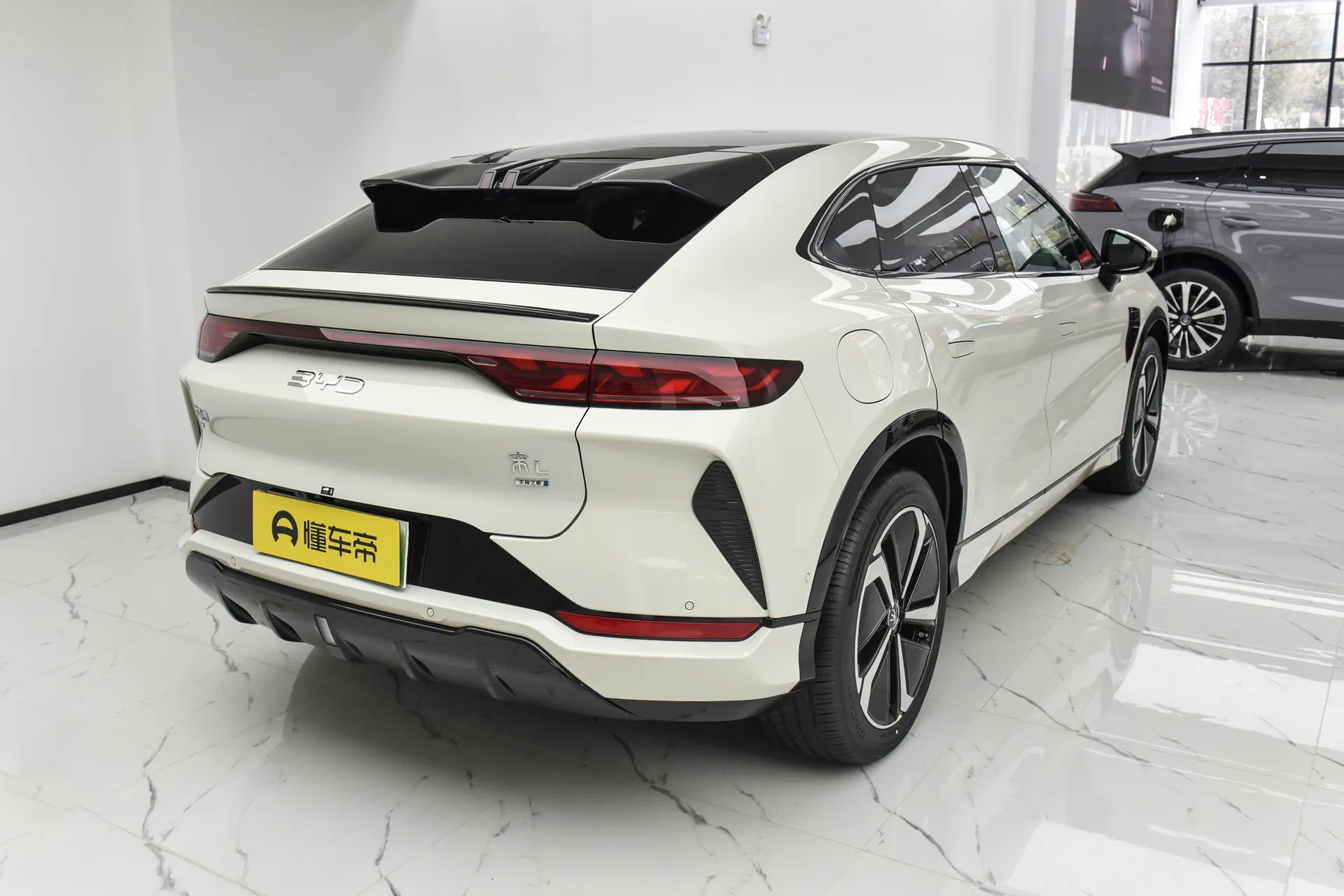  Song L Smart Driving 662 KM Beyond