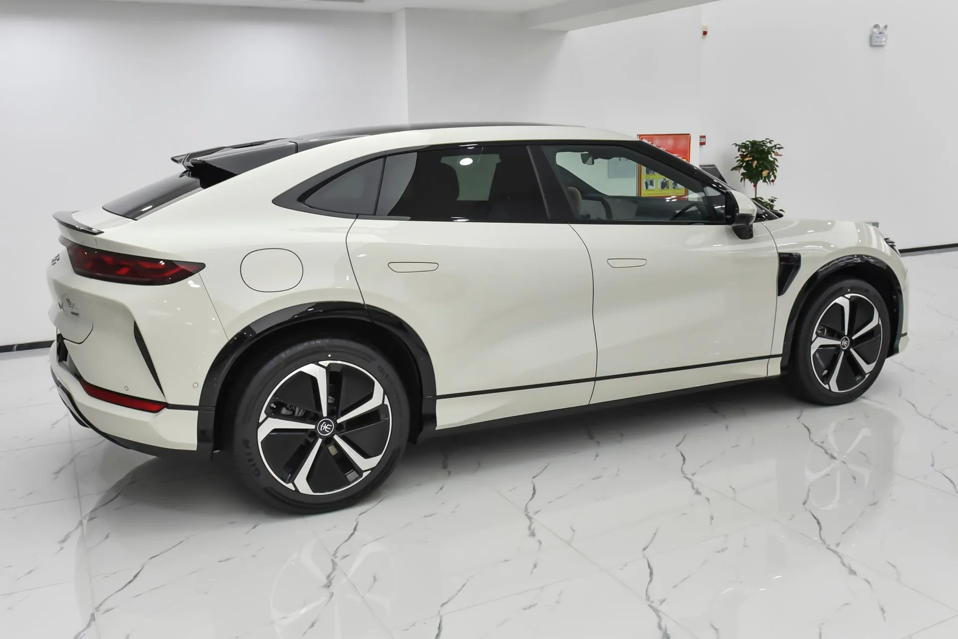  Song L Smart Driving 662 KM Beyond