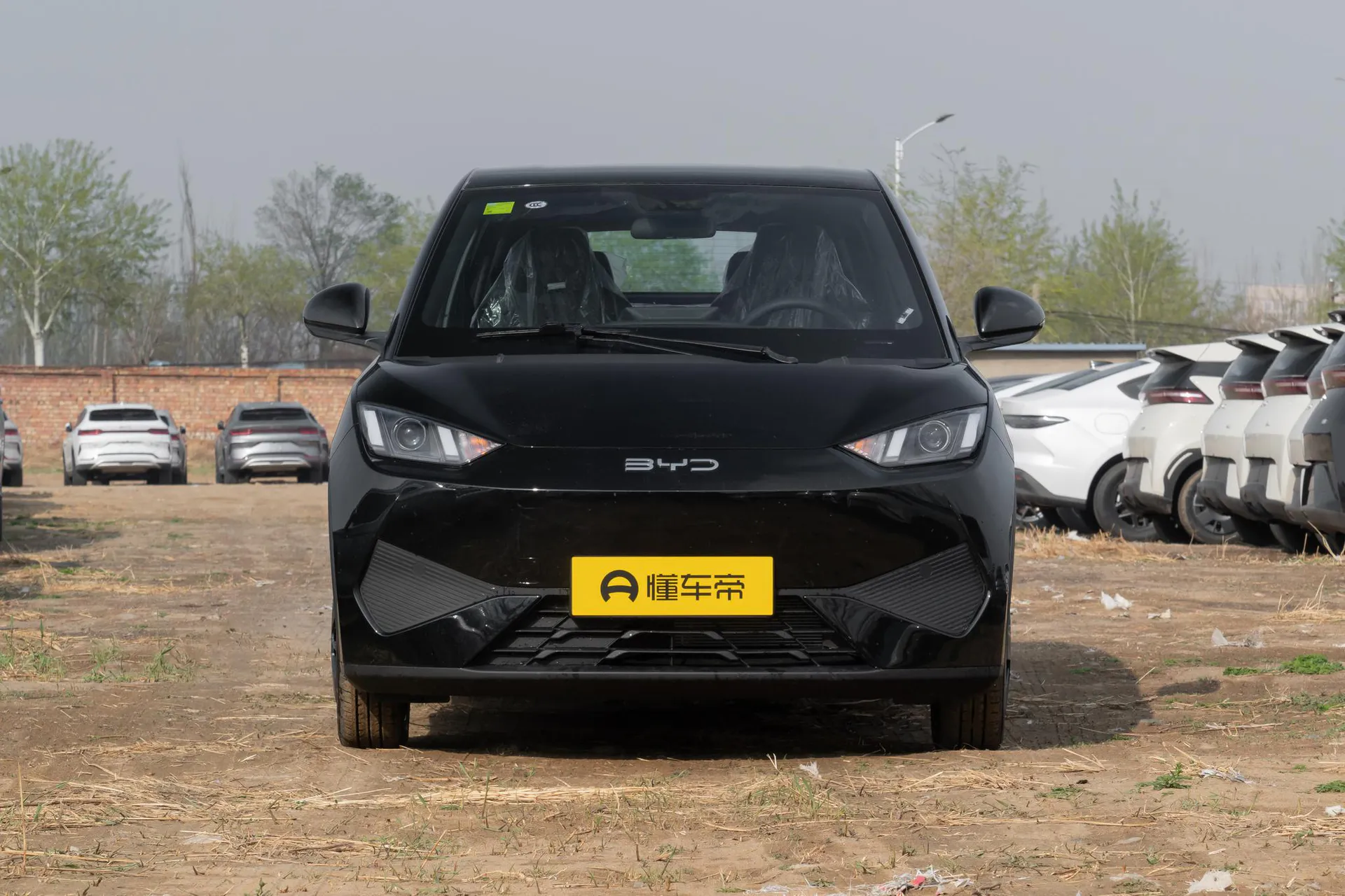  Seagull Smart Driving 305 KM Vitality