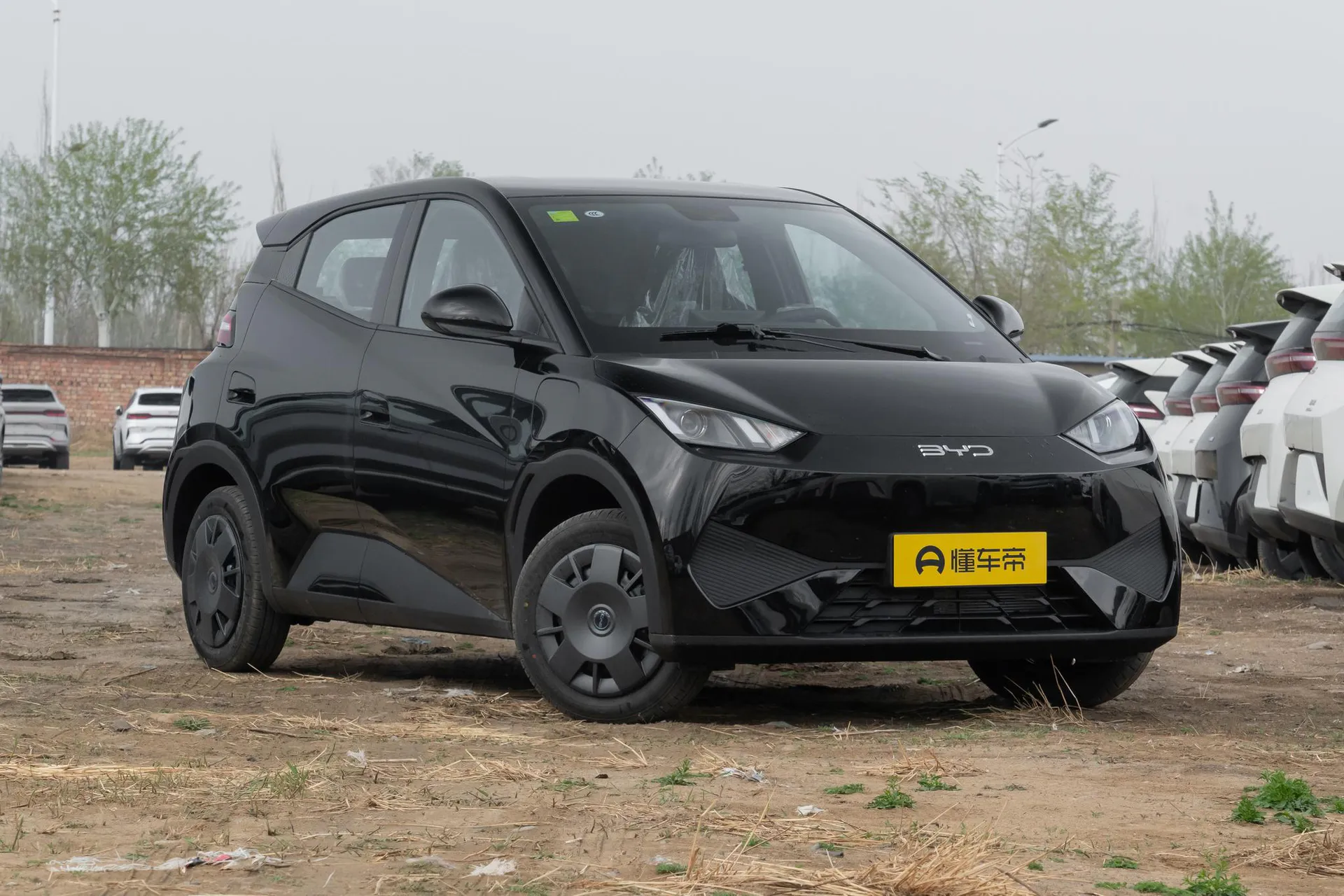  Seagull Smart Driving 305 KM Vitality