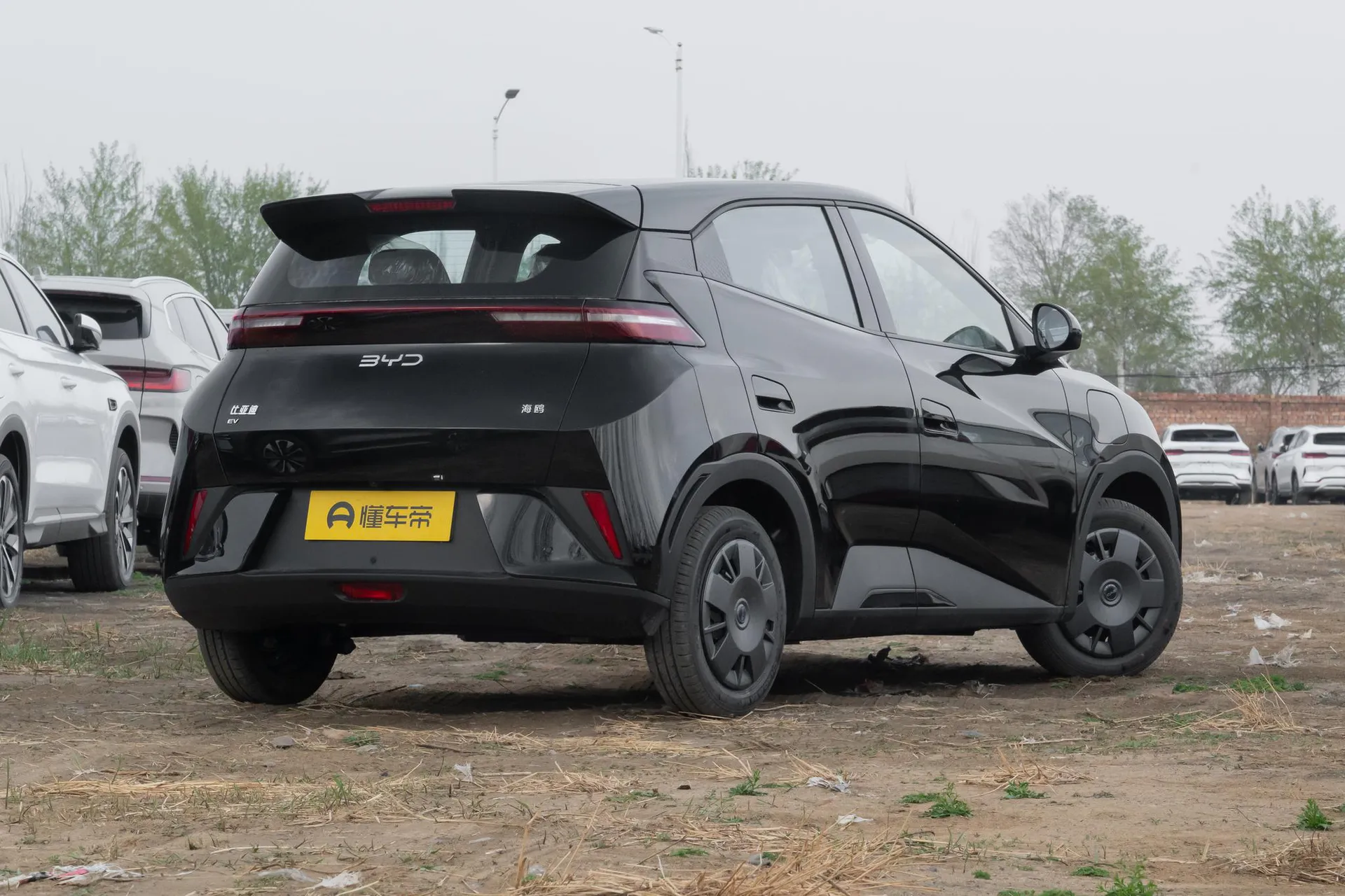  Seagull Smart Driving 305 KM Vitality