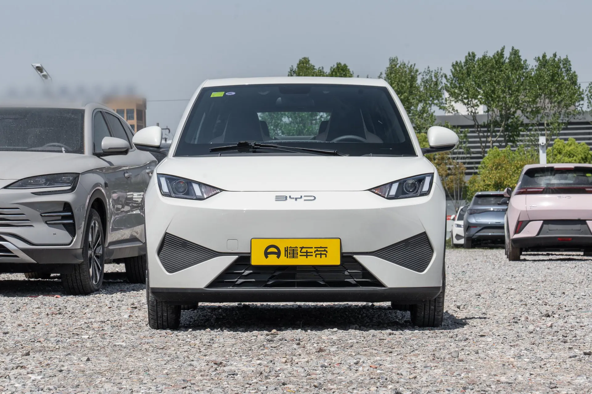  Seagull Smart Driving 305 KM Vitality
