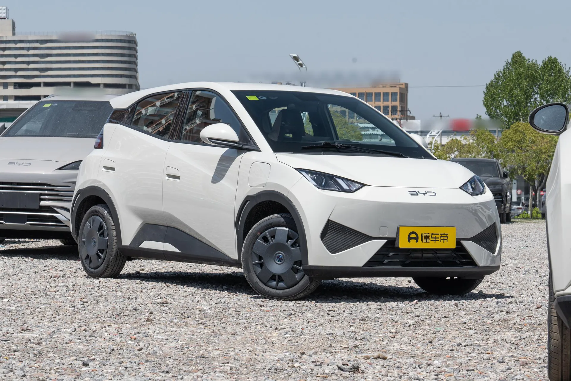  Seagull Smart Driving 305 KM Vitality