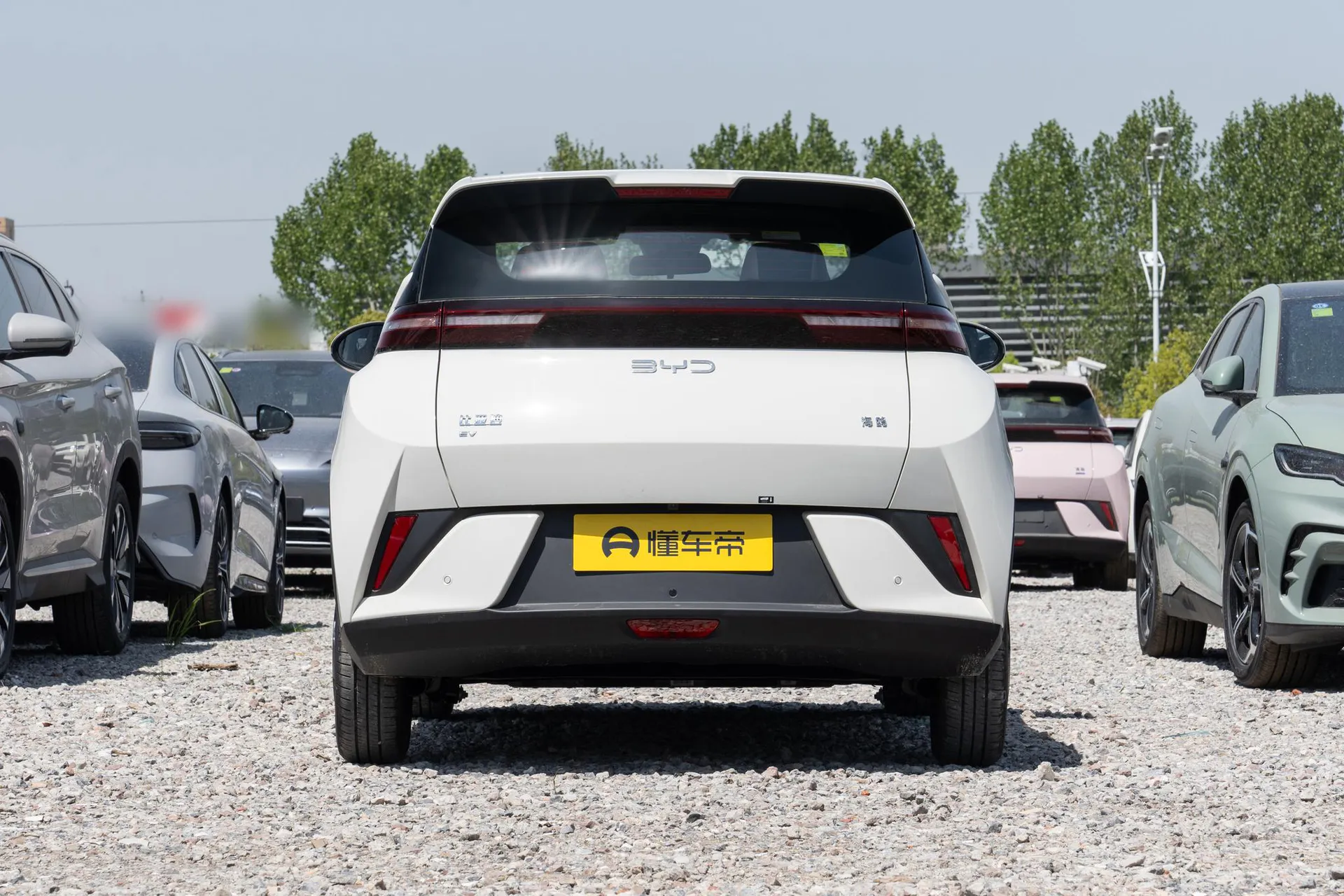  Seagull Smart Driving 305 KM Vitality
