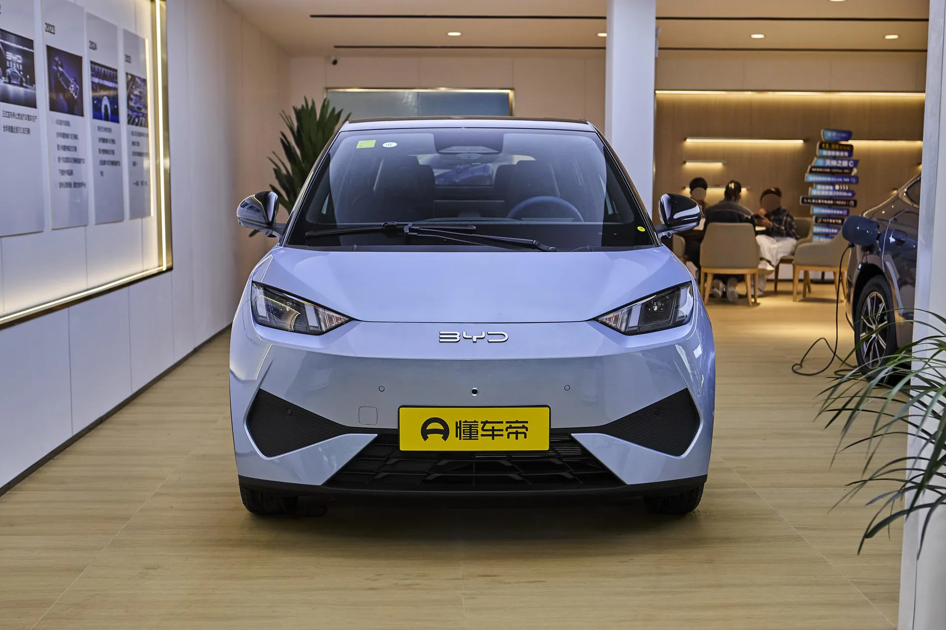  Seagull Smart Driving 305 KM Freedom