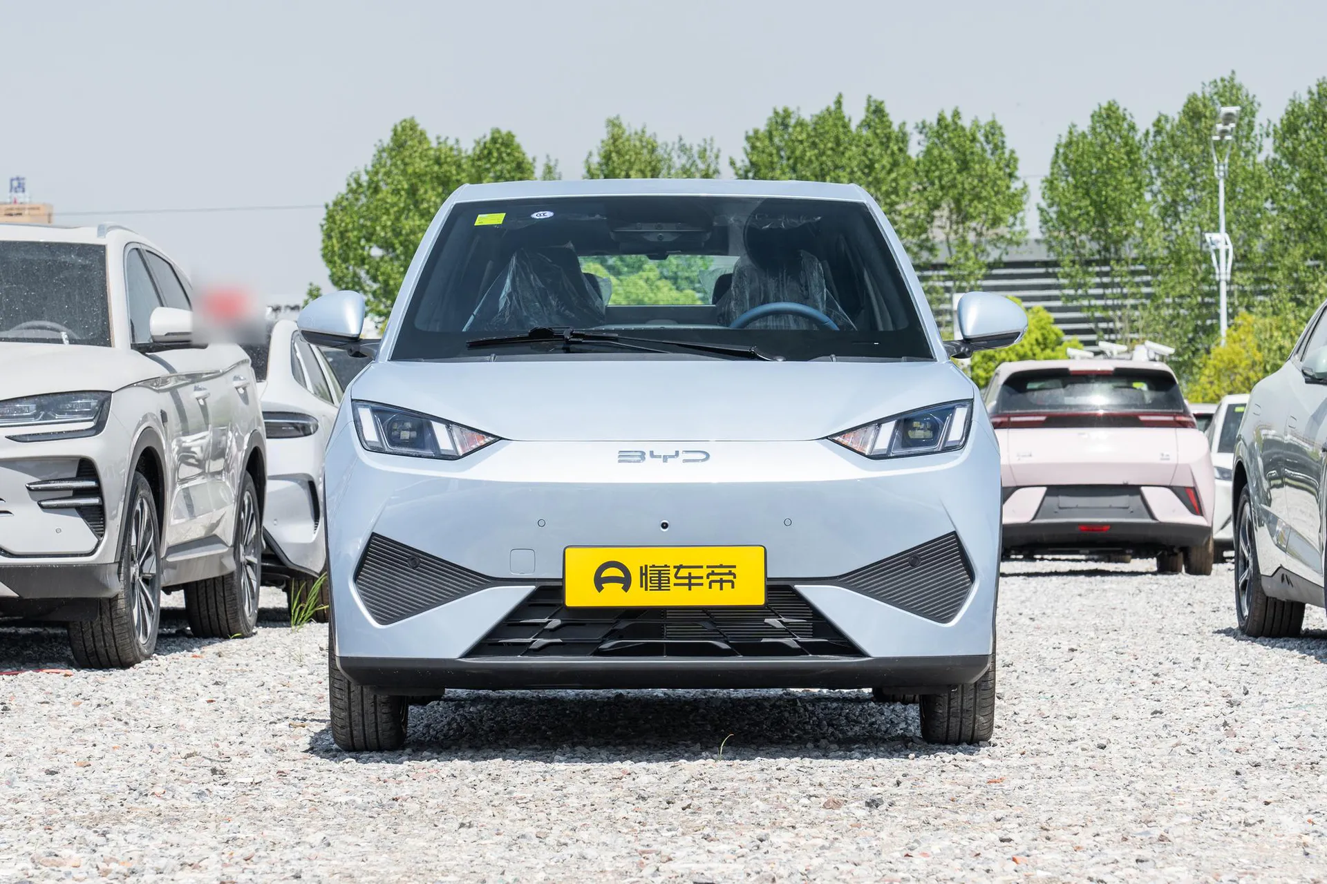  Seagull Smart Driving 305 KM Freedom