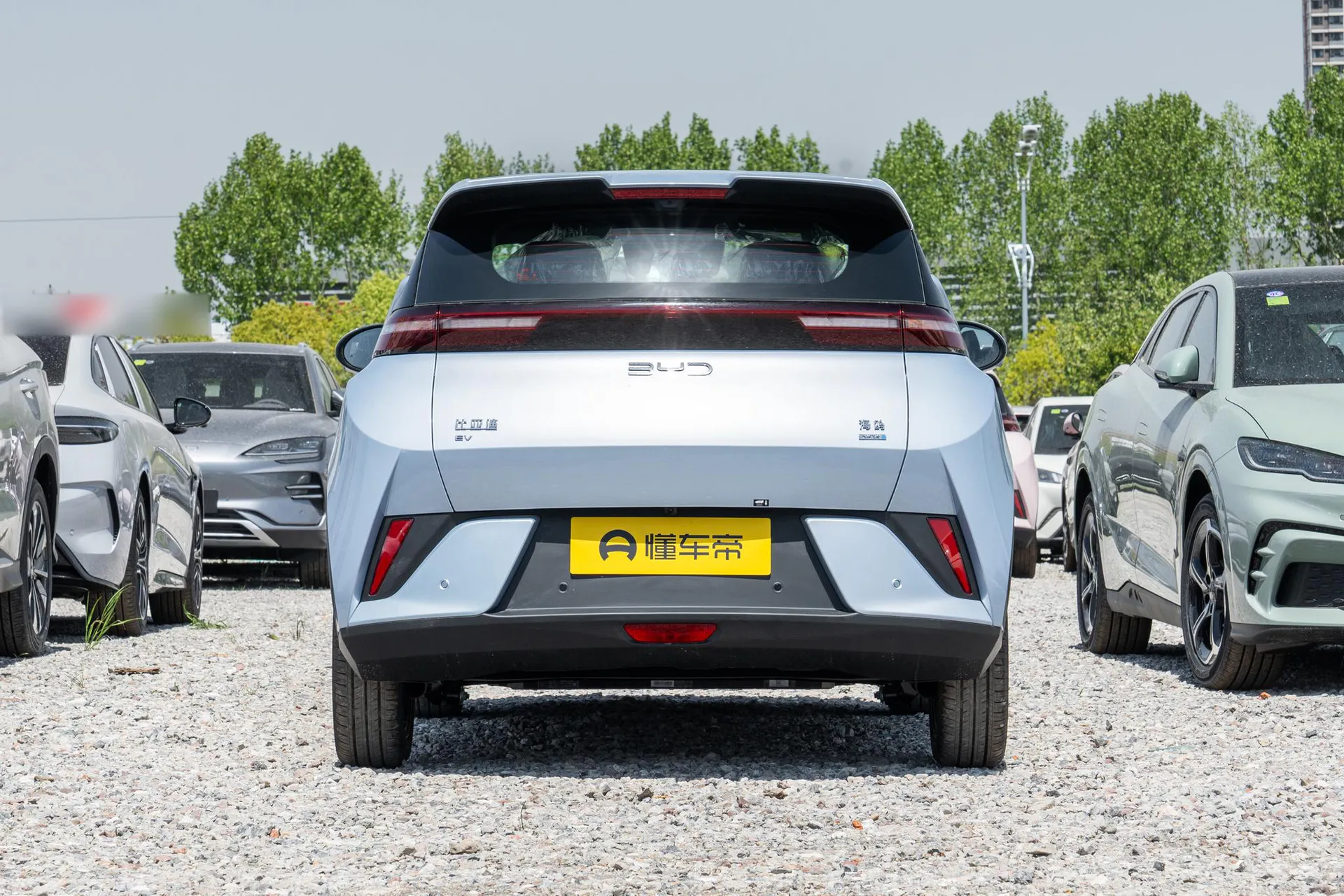  Seagull Smart Driving 305 KM Freedom