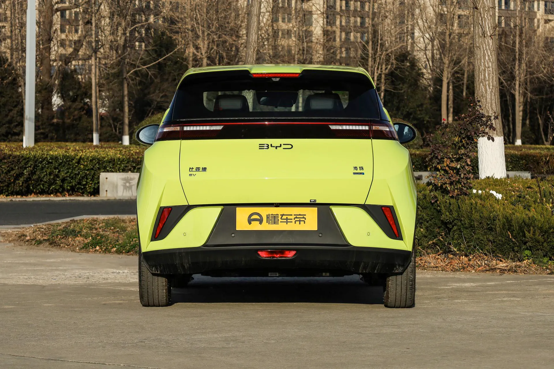  Seagull Smart Driving 305 KM Freedom