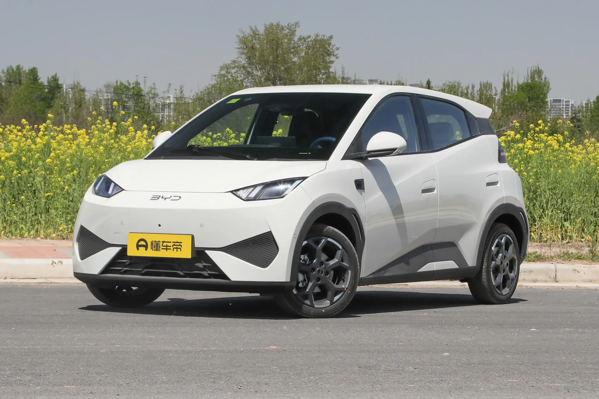 Seagull Smart Driving 305 KM Freedom