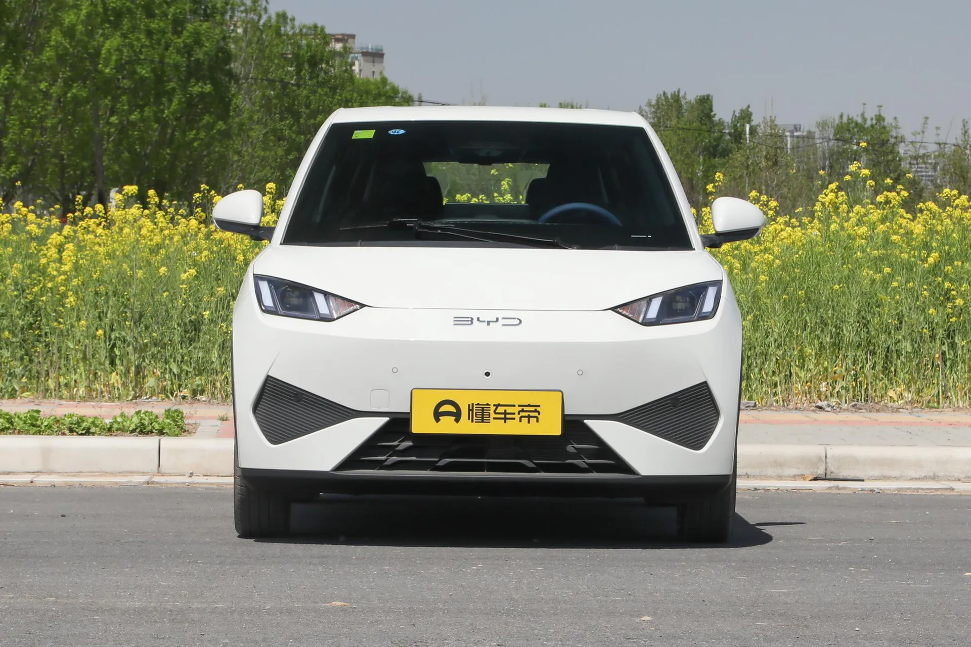  Seagull Smart Driving 305 KM Freedom