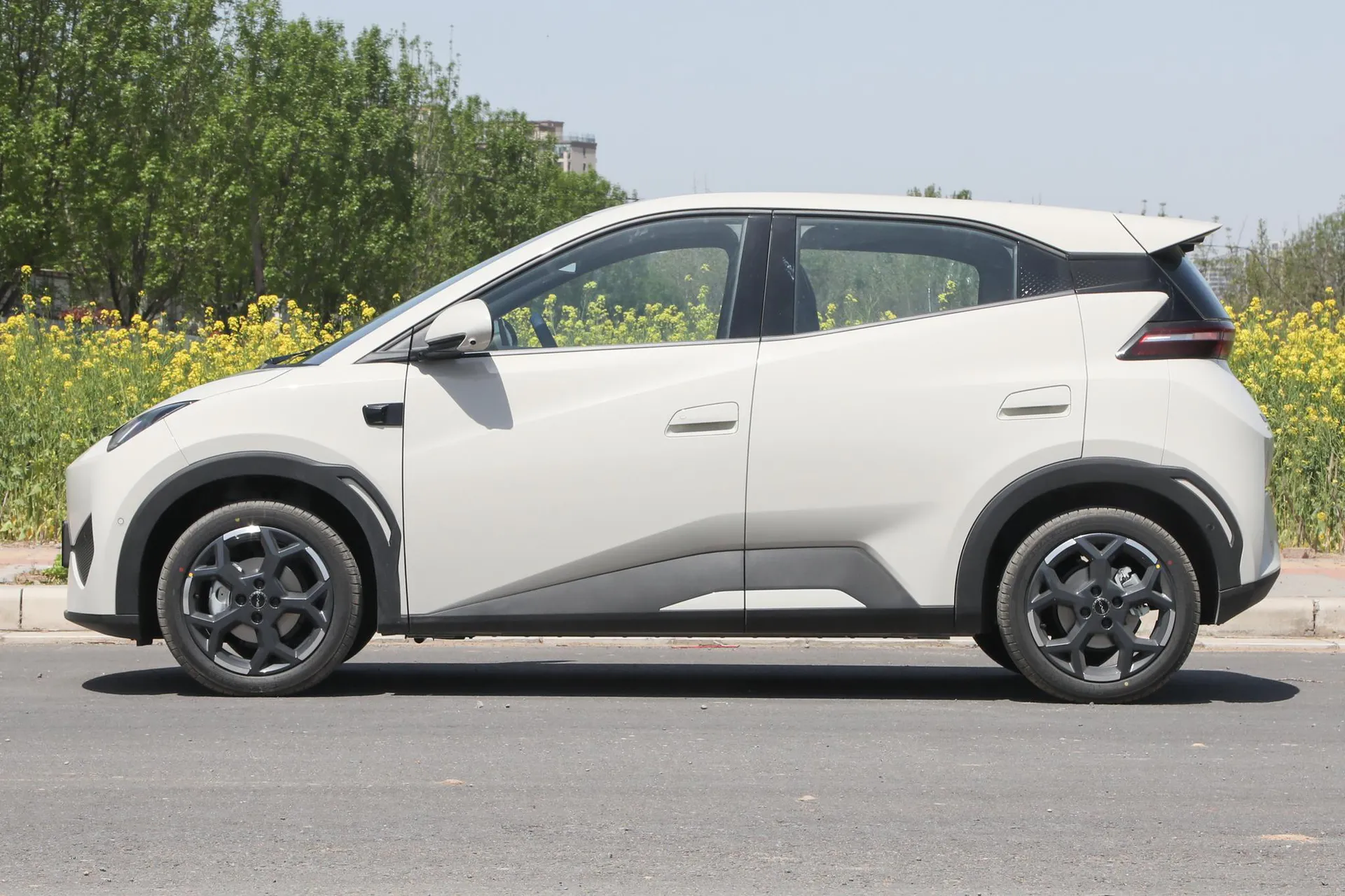  Seagull Smart Driving 305 KM Freedom