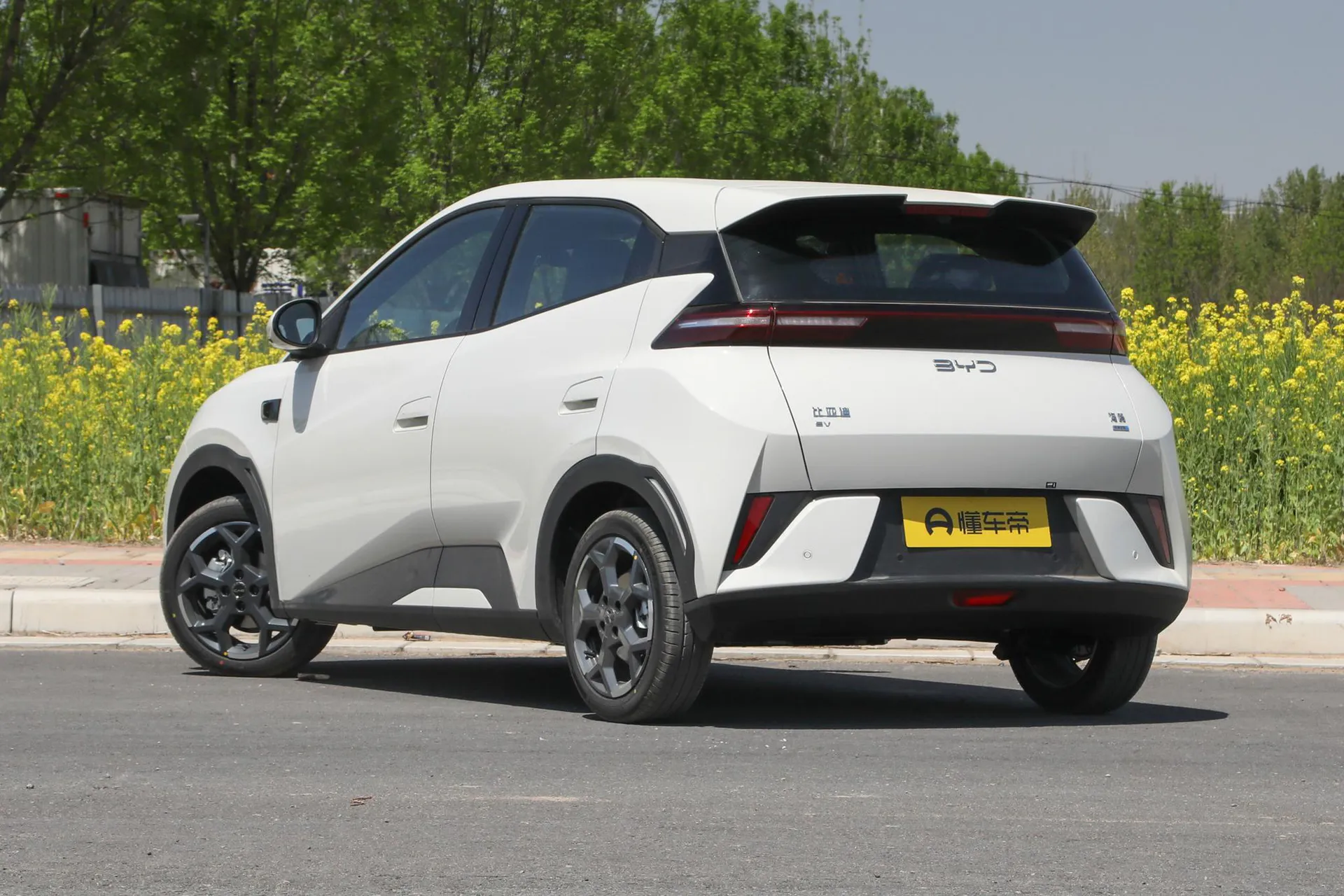  Seagull Smart Driving 305 KM Freedom