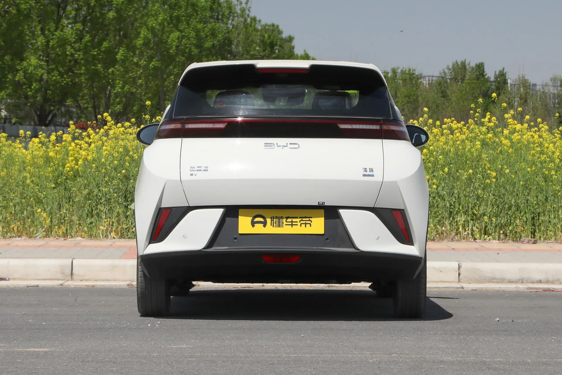  Seagull Smart Driving 305 KM Freedom