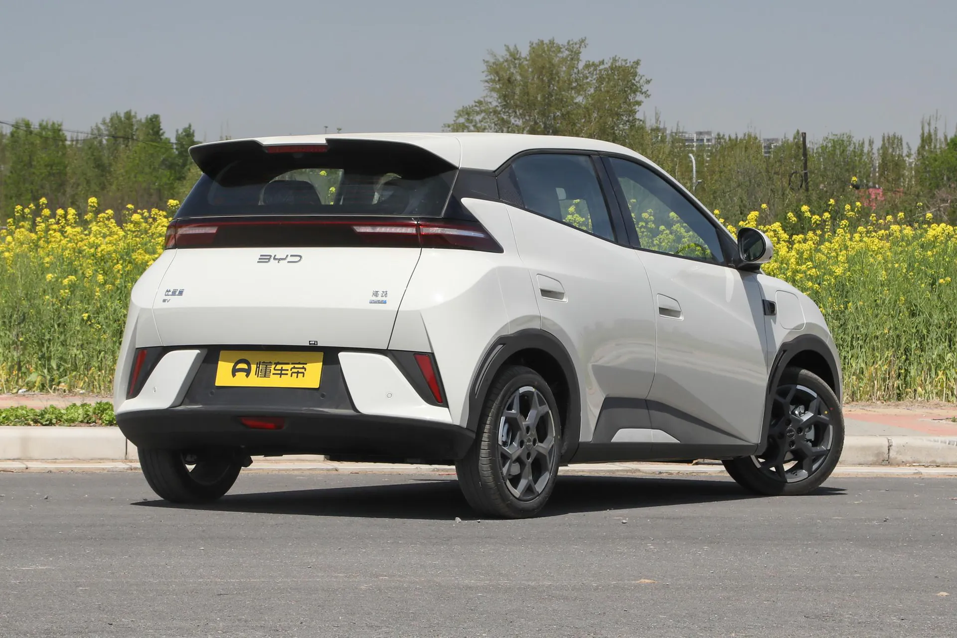  Seagull Smart Driving 305 KM Freedom