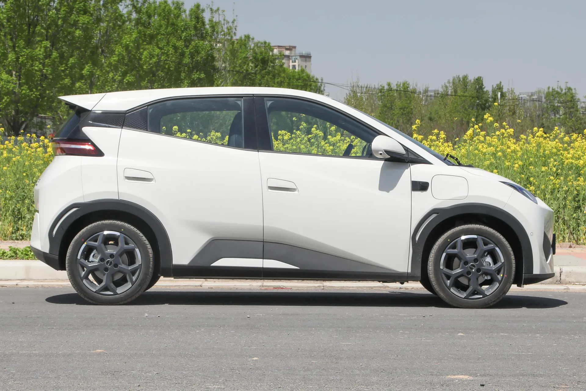  Seagull Smart Driving 305 KM Freedom
