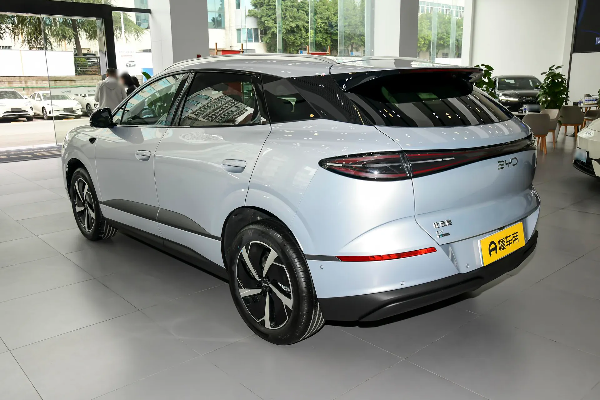  Sea Lion 06 EV 710 Voyage Flagship