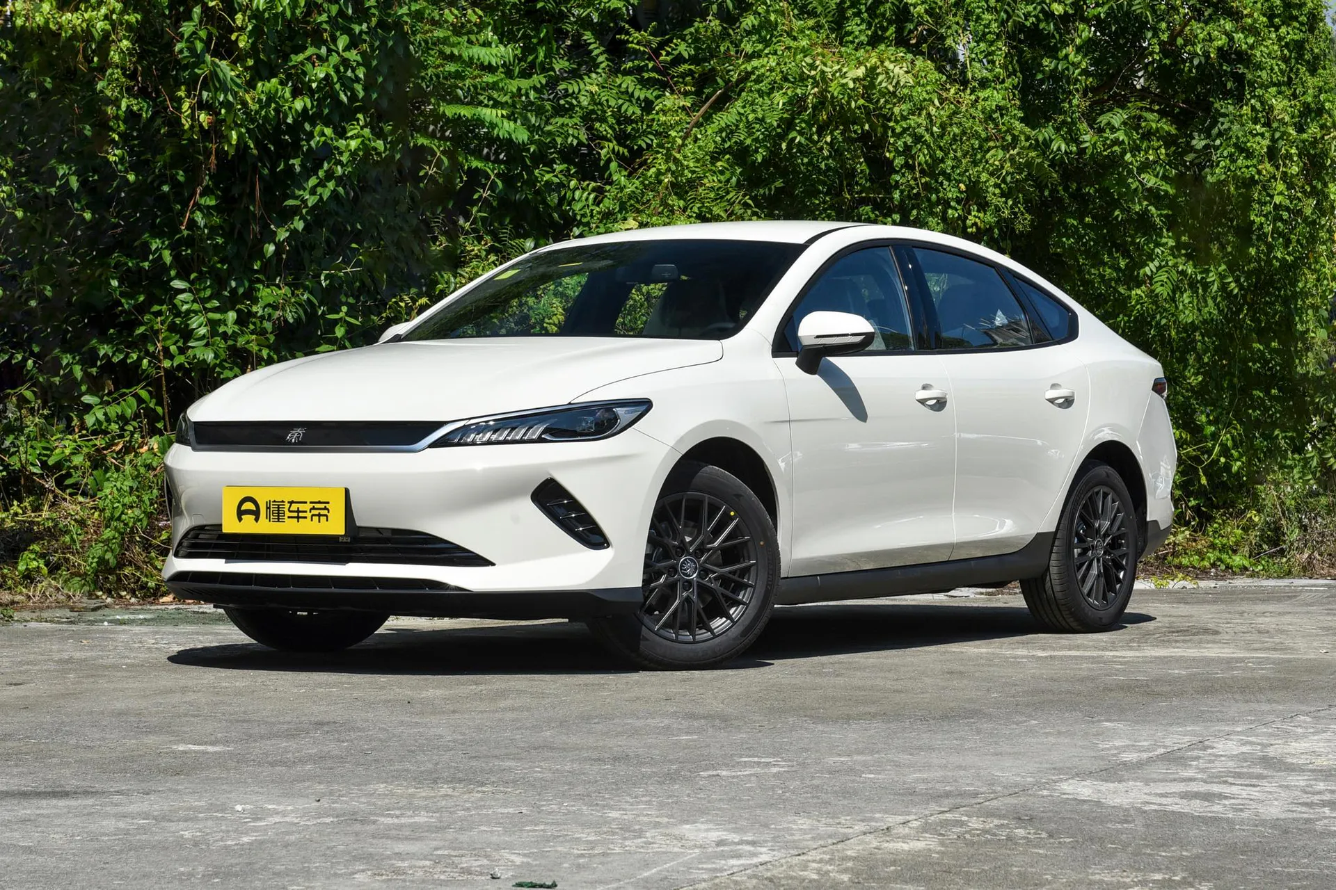  Qin Plus EV Smart Driving 510 KM Advance
