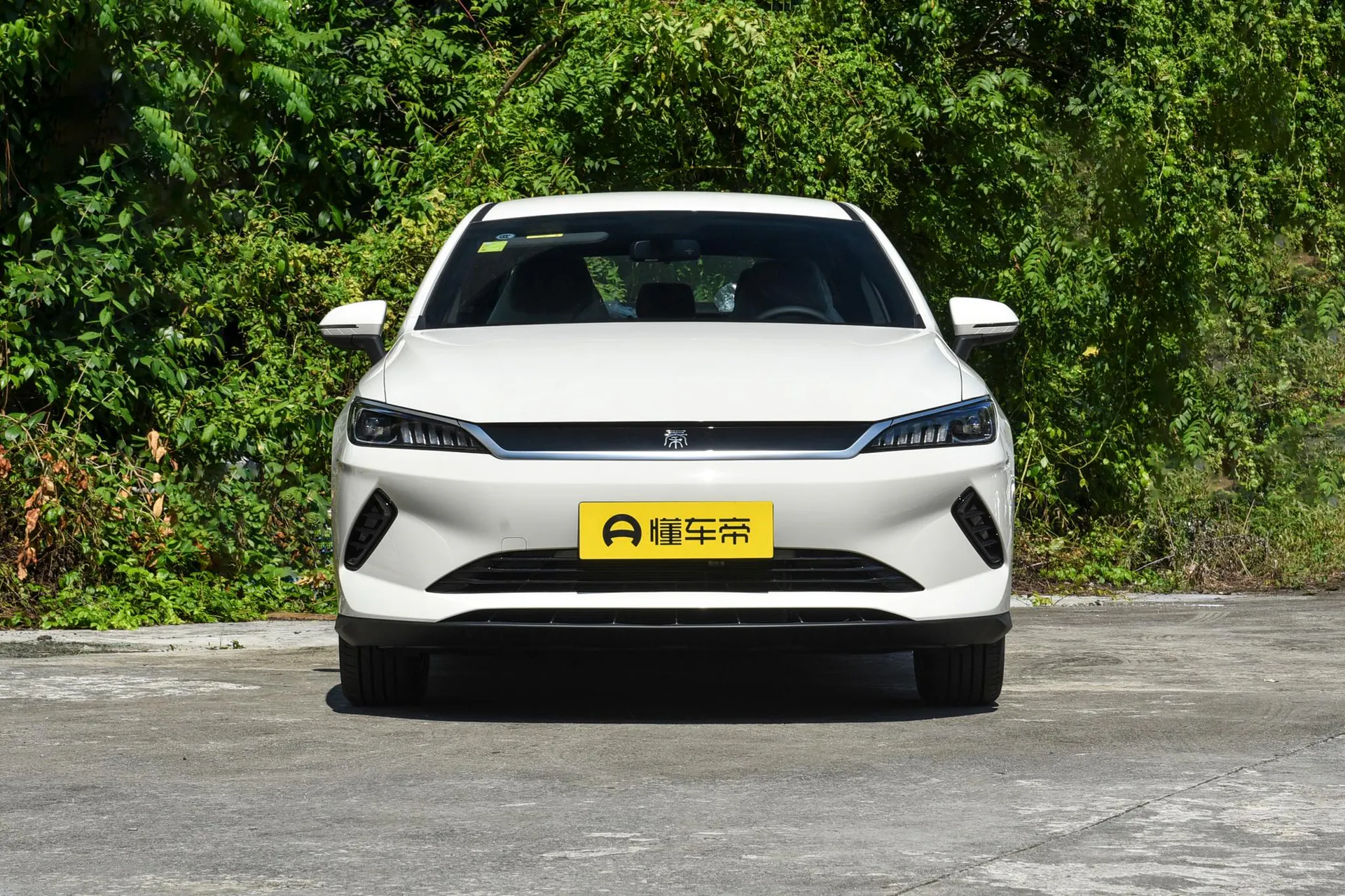  Qin Plus EV Smart Driving 510 KM Advance
