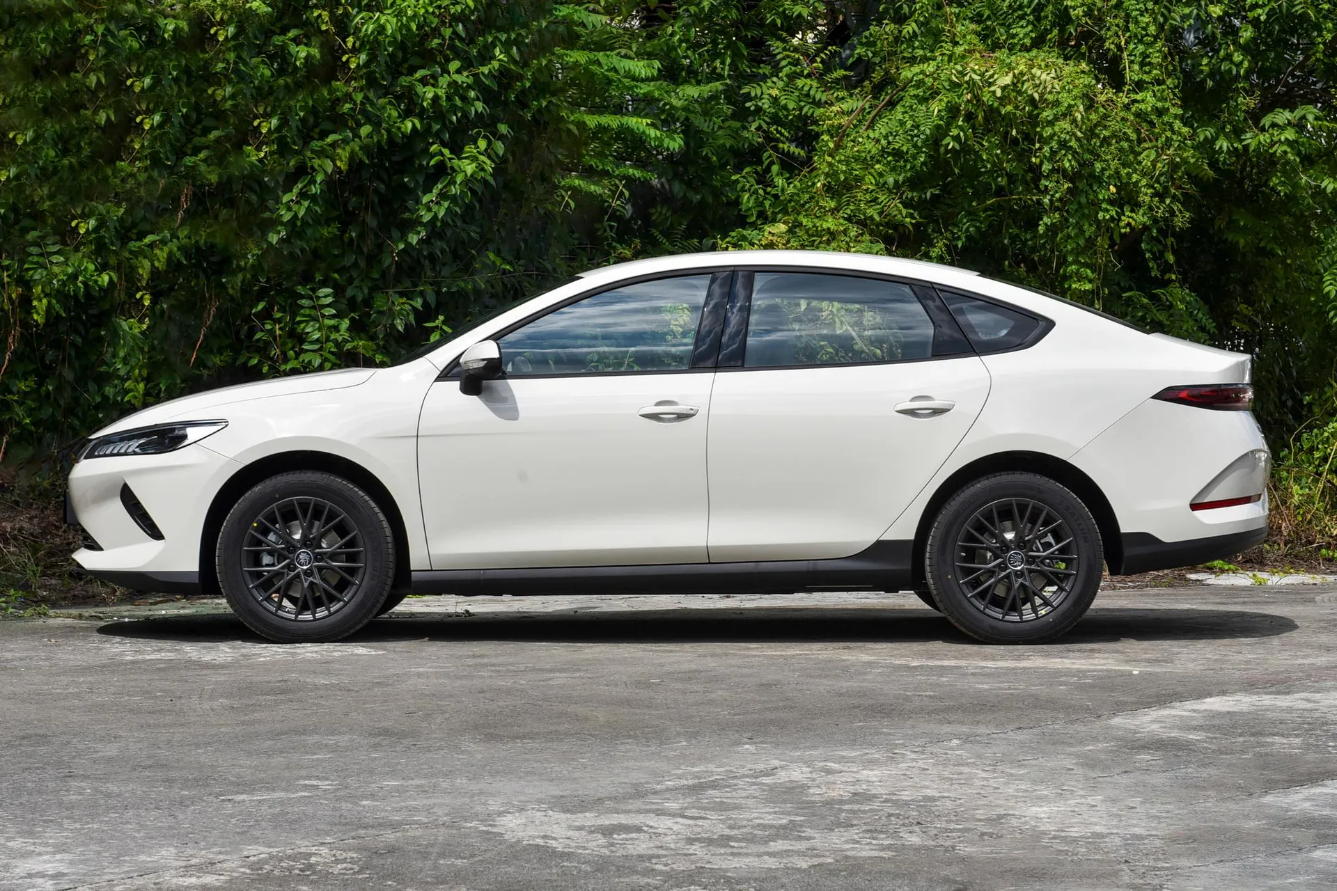  Qin Plus EV Smart Driving 510 KM Advance