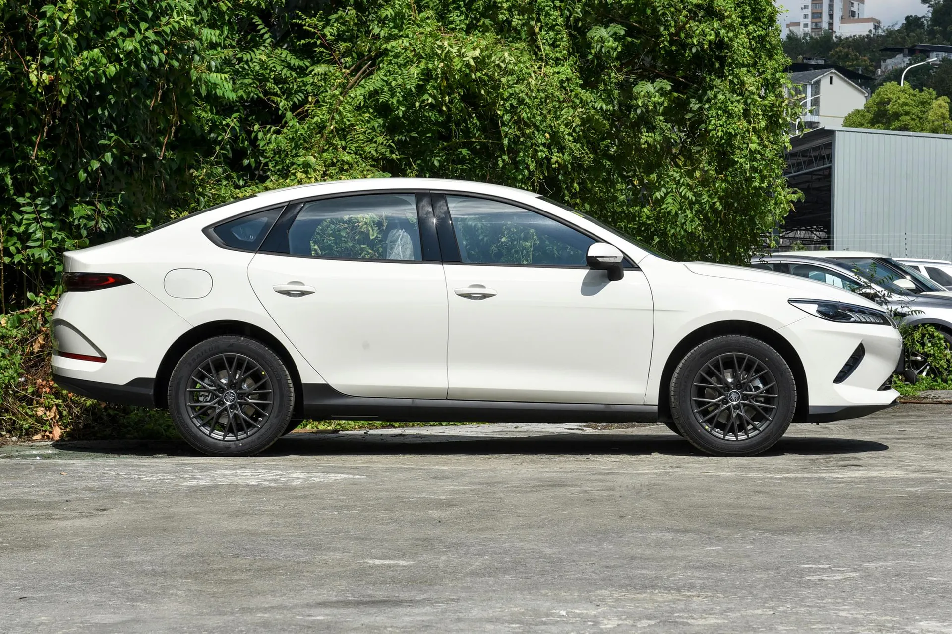  Qin Plus EV Smart Driving 510 KM Advance