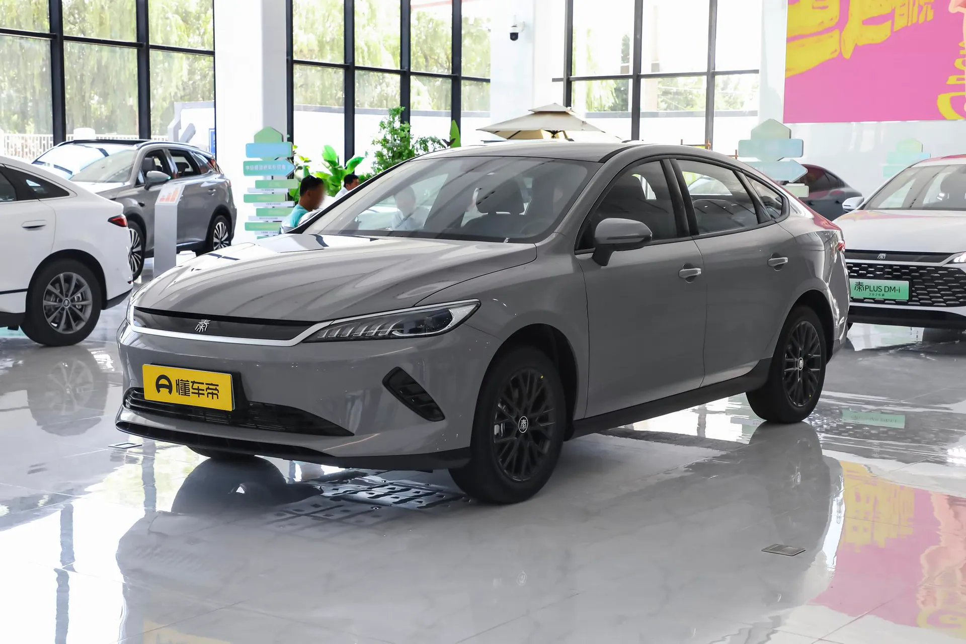  Qin Plus EV Smart Driving 510 KM Advance