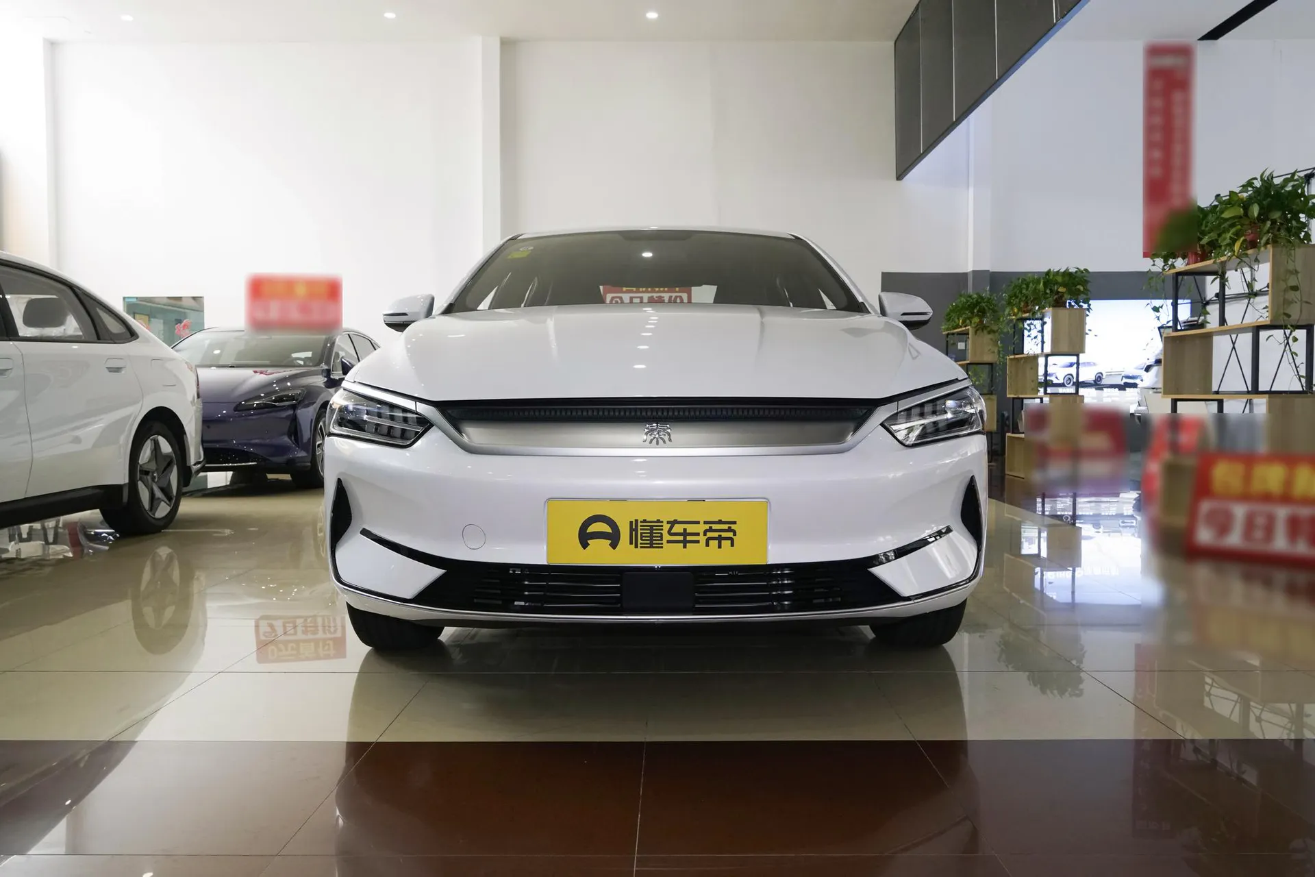  Qin Plus EV 510 KM Standard
